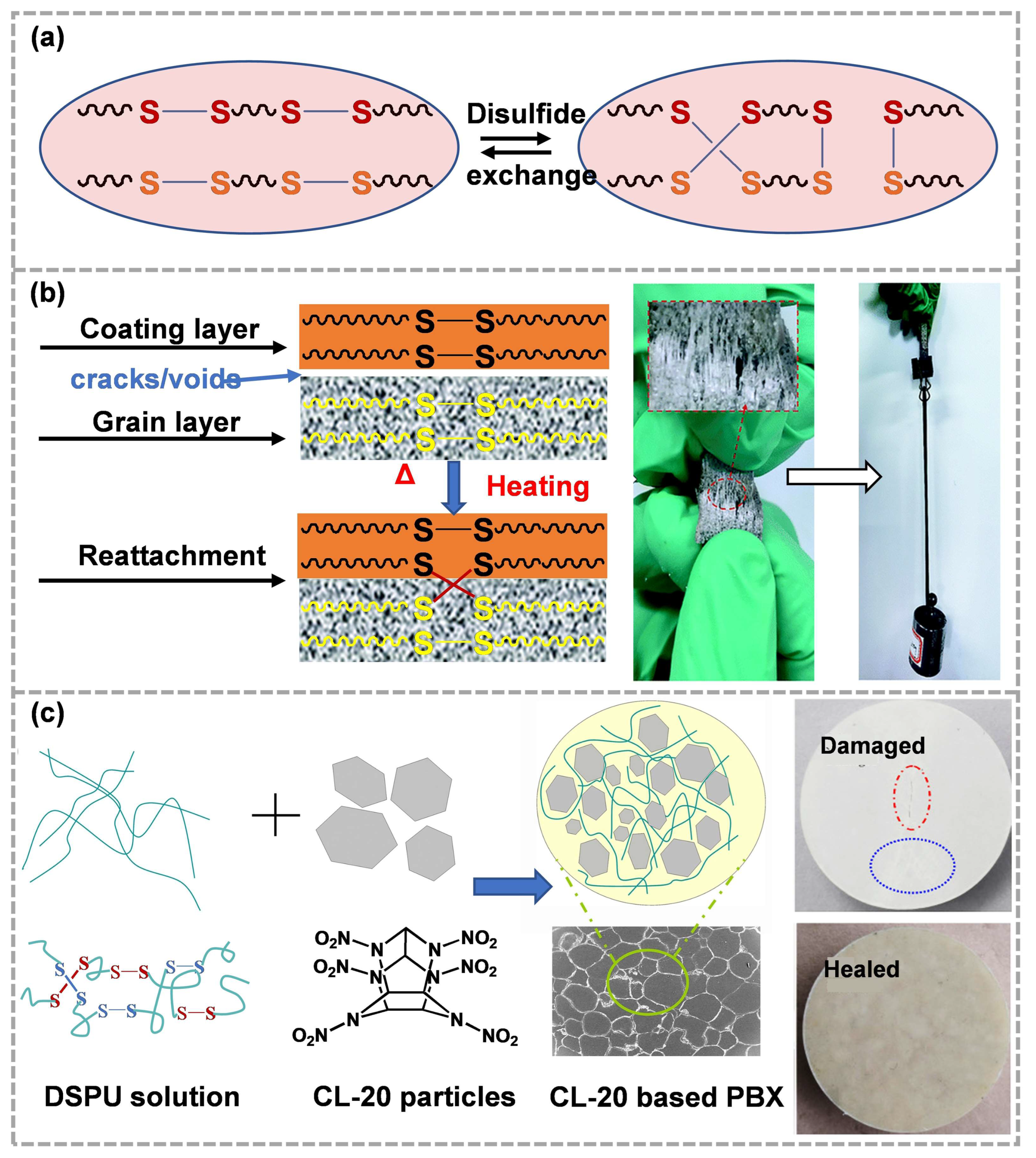 Molecules 28 00428 g004