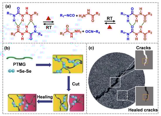 Molecules 28 00428 g006