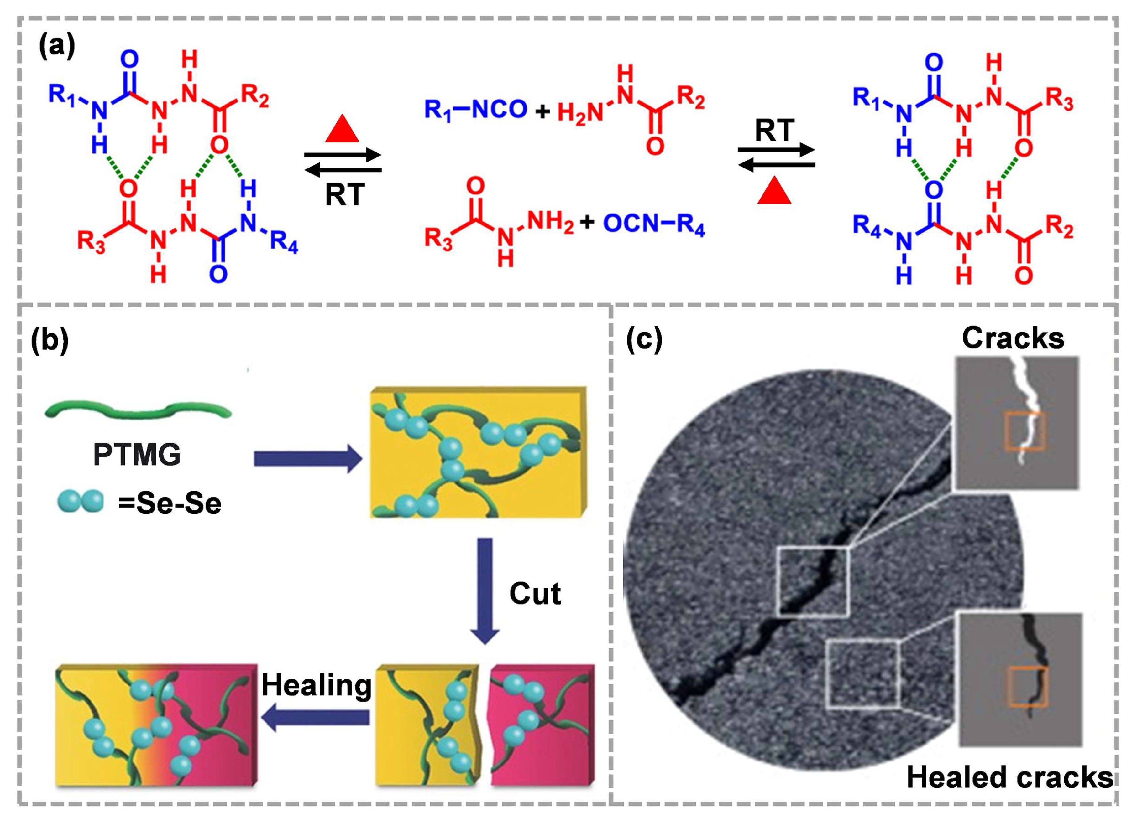 Molecules 28 00428 g006