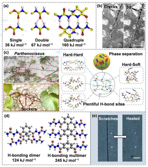 Molecules 28 00428 g007