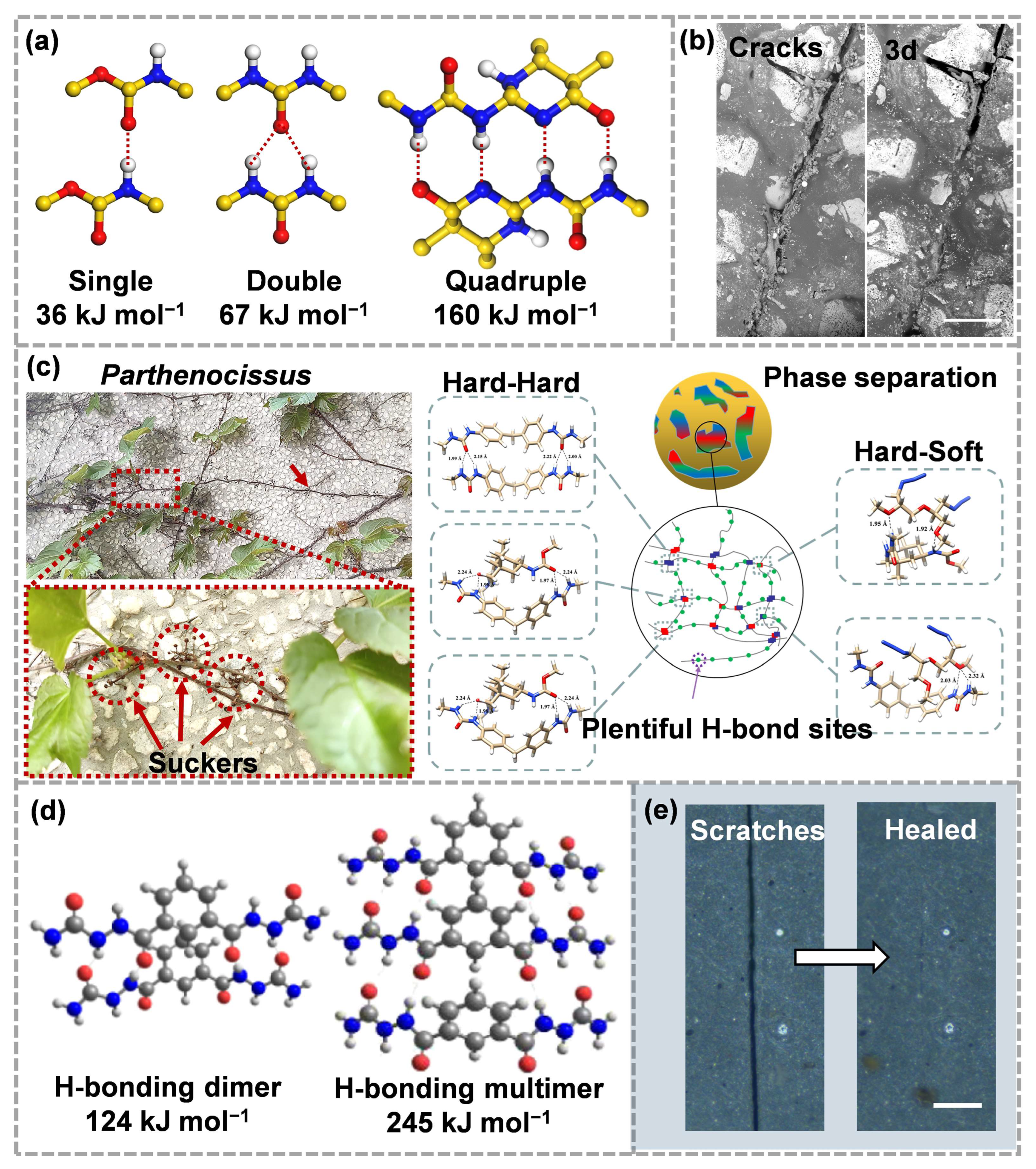 Molecules 28 00428 g007
