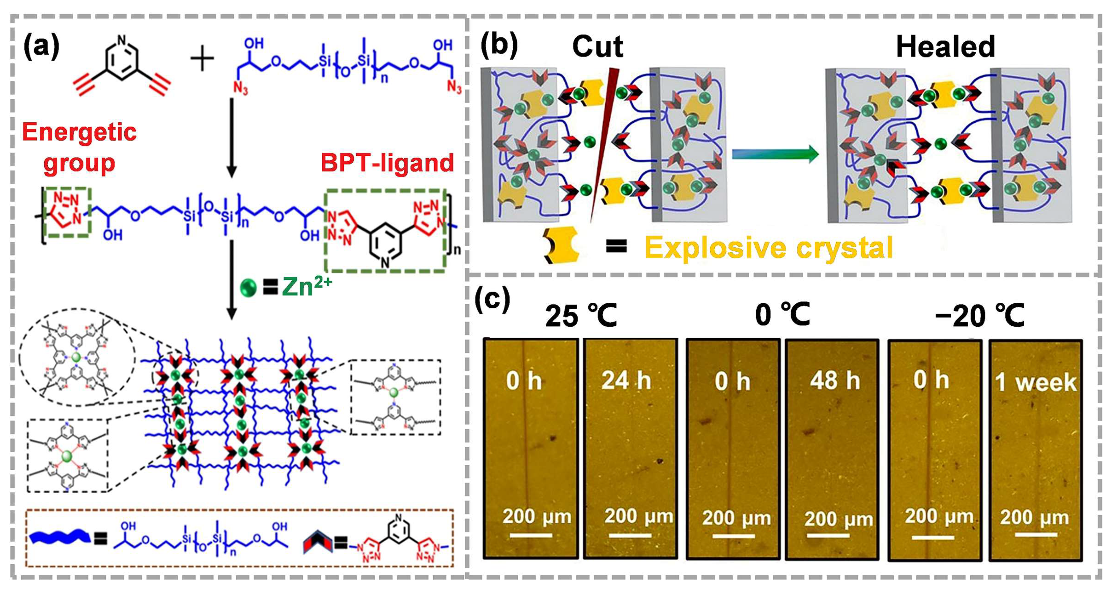 Molecules 28 00428 g008