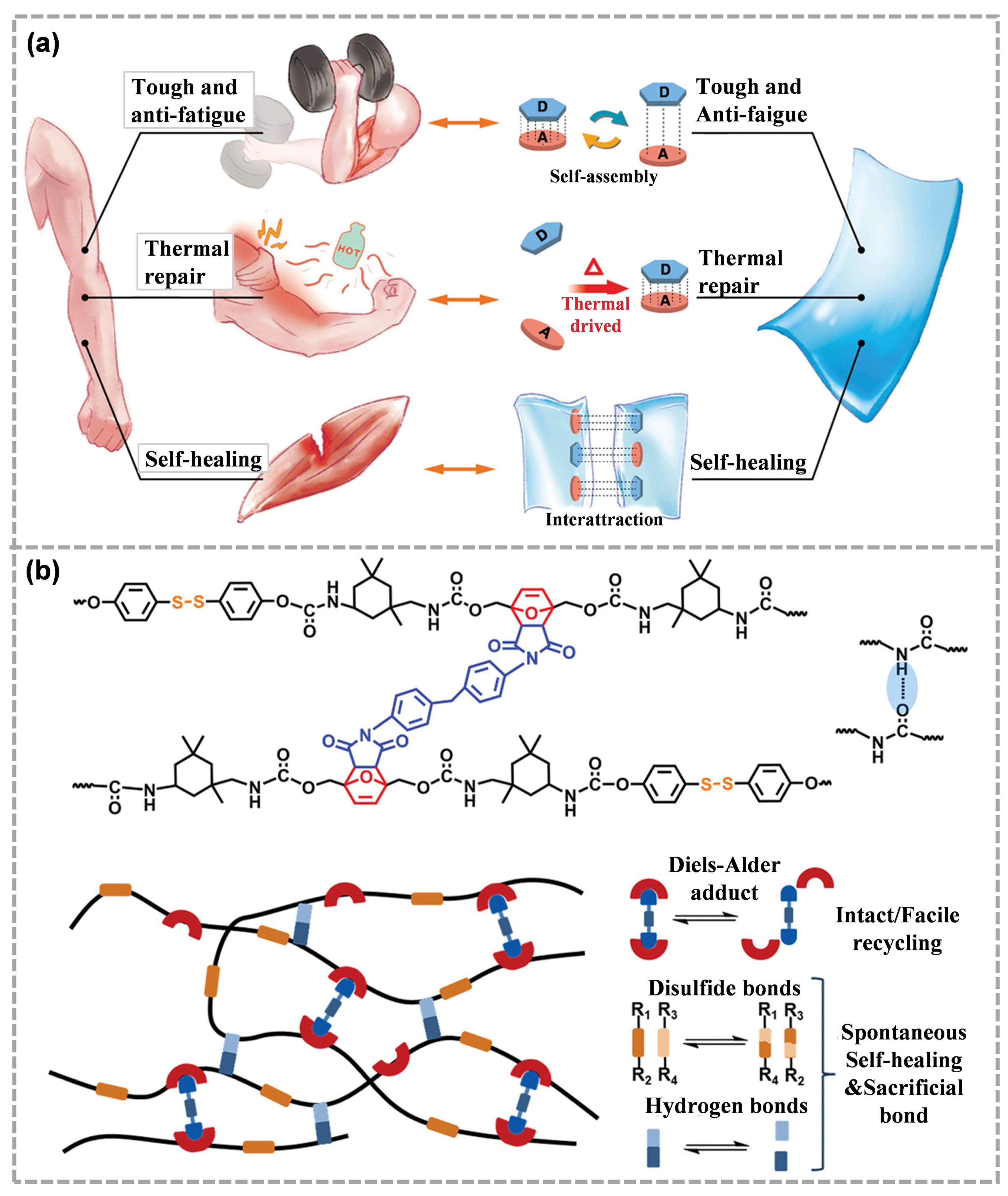 Molecules 28 00428 g010