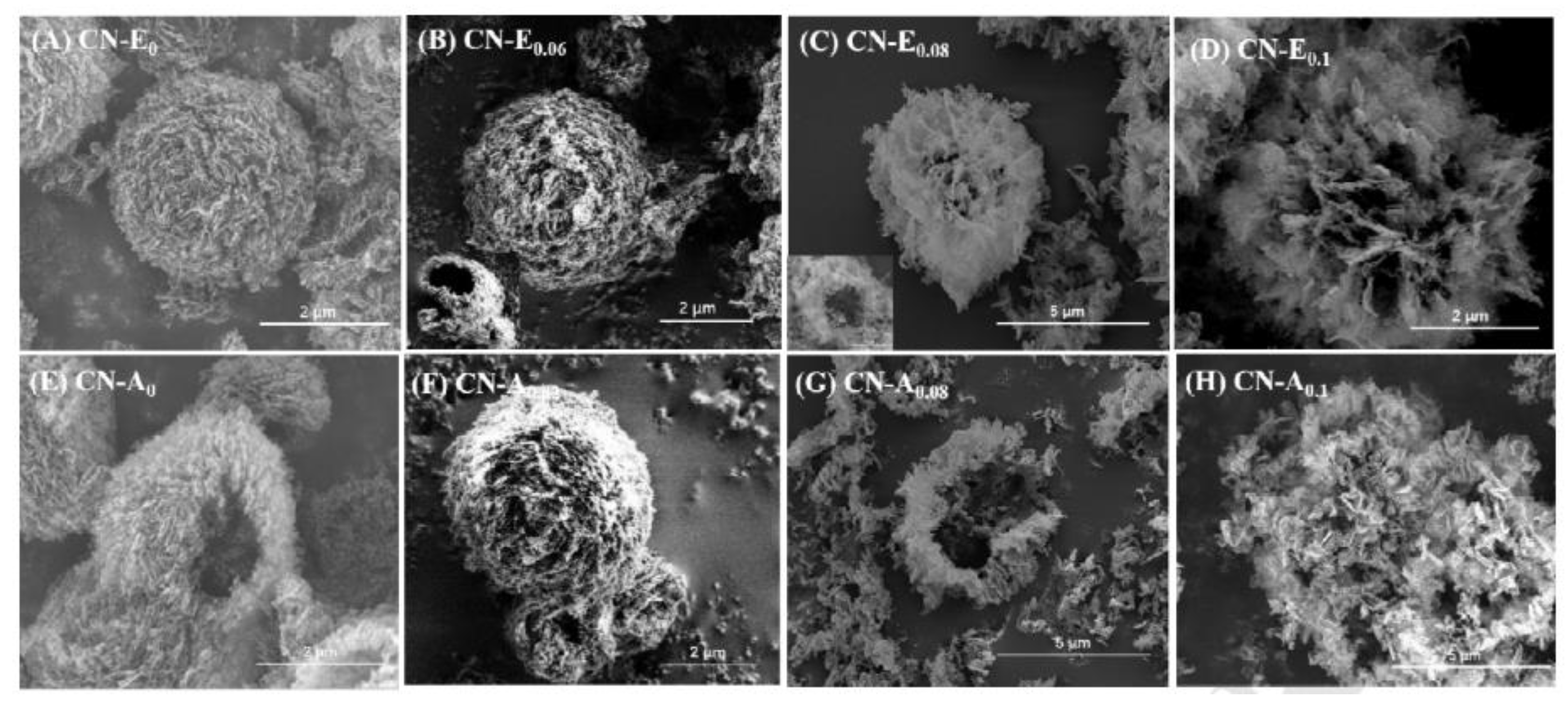 Molecules 28 00432 g006