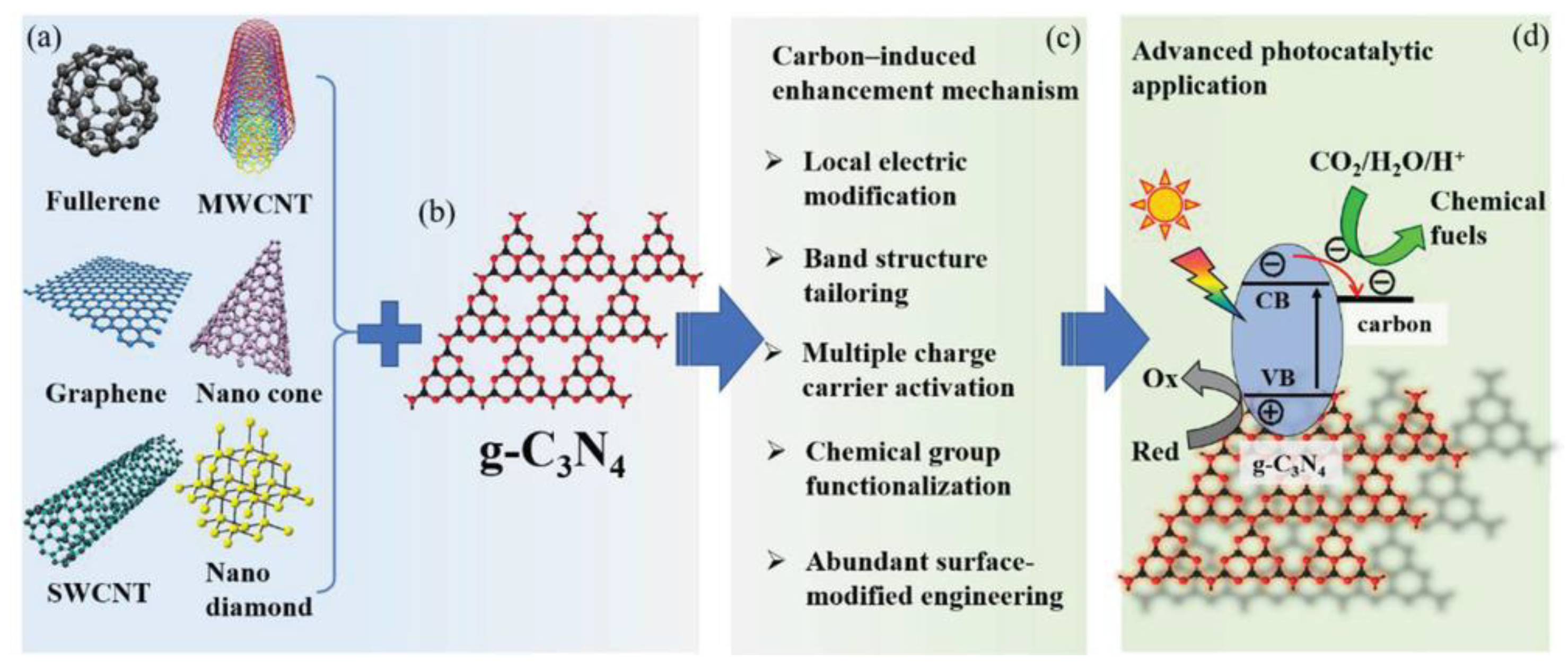 Molecules 28 00432 g009