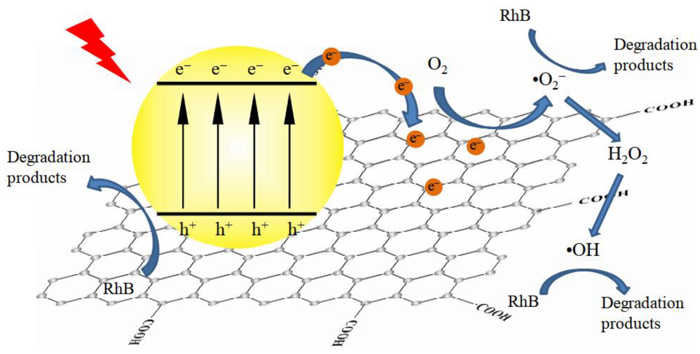 Molecules 28 00432 g014