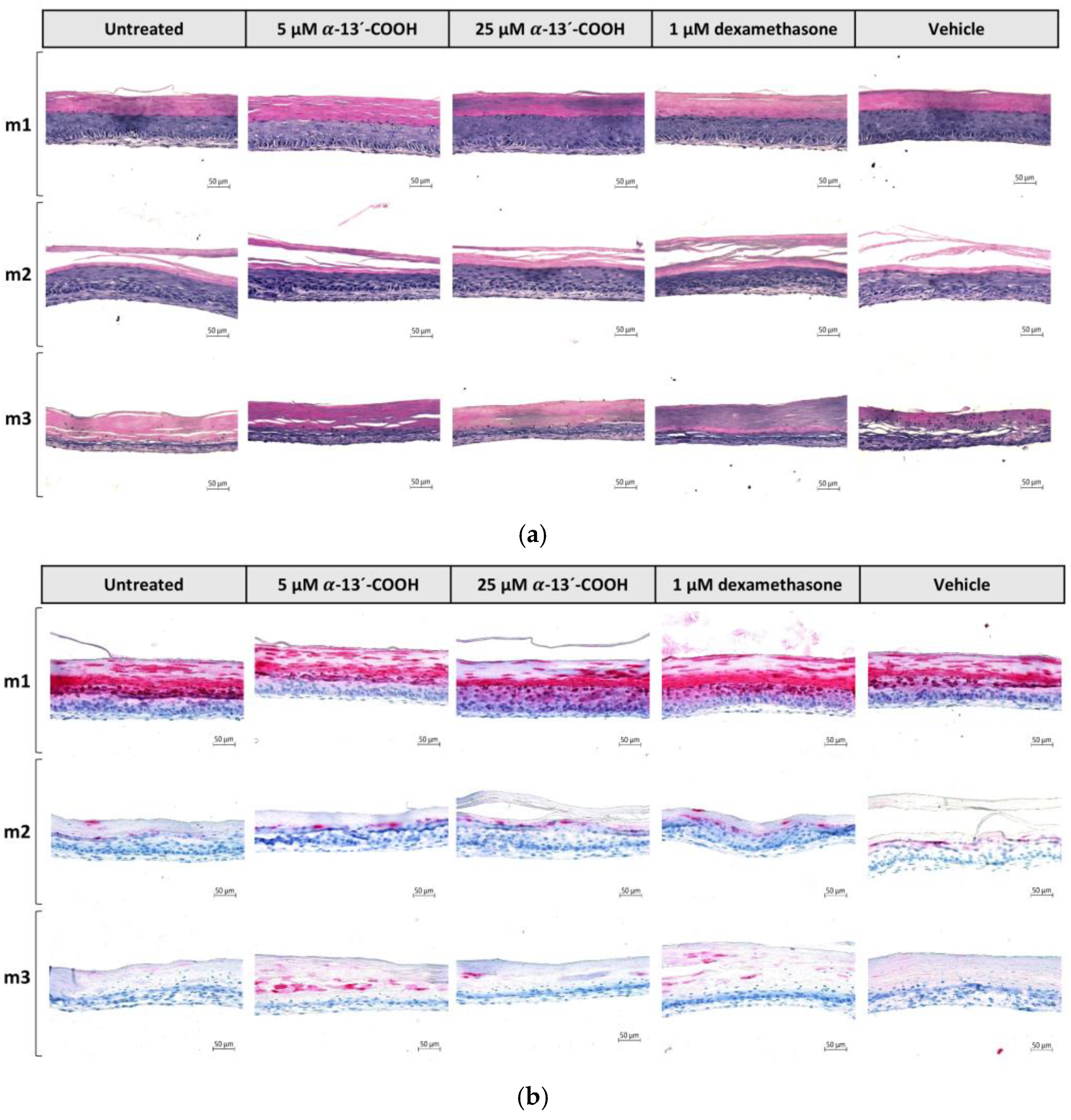 Molecules 28 00440 g007a