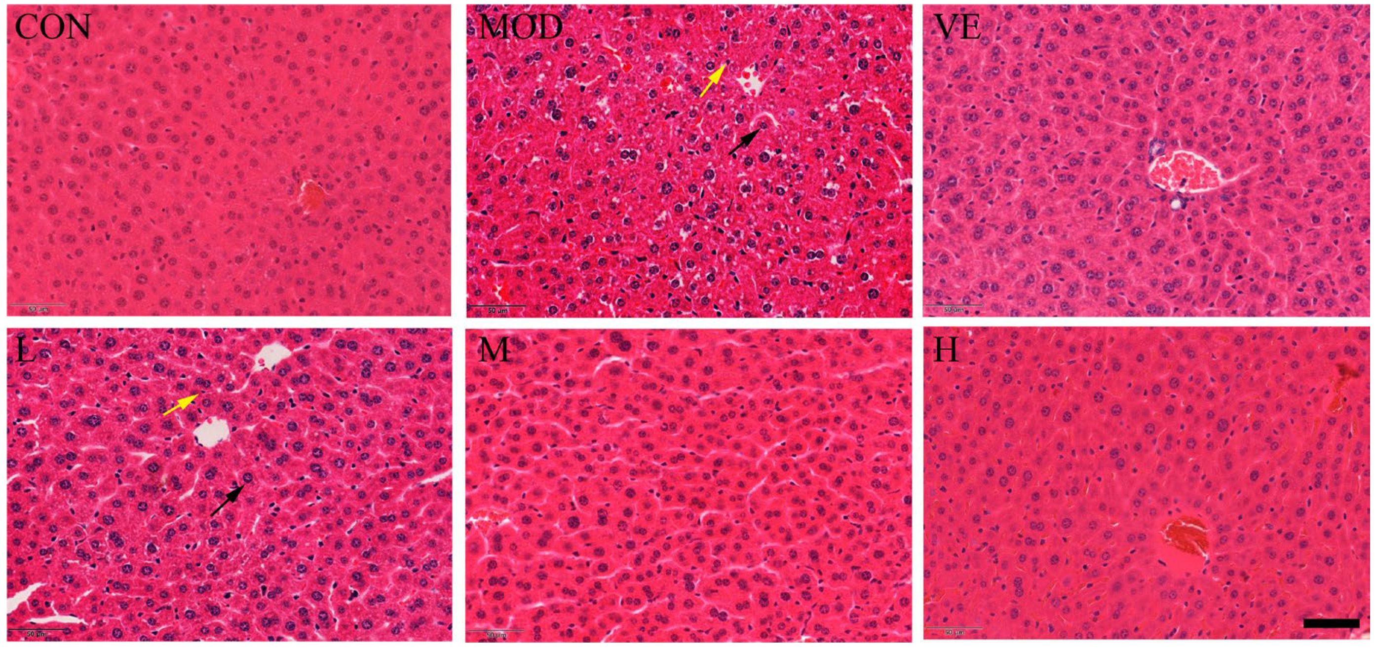 Molecules 28 00443 g001 Molecules 28 00443 g001