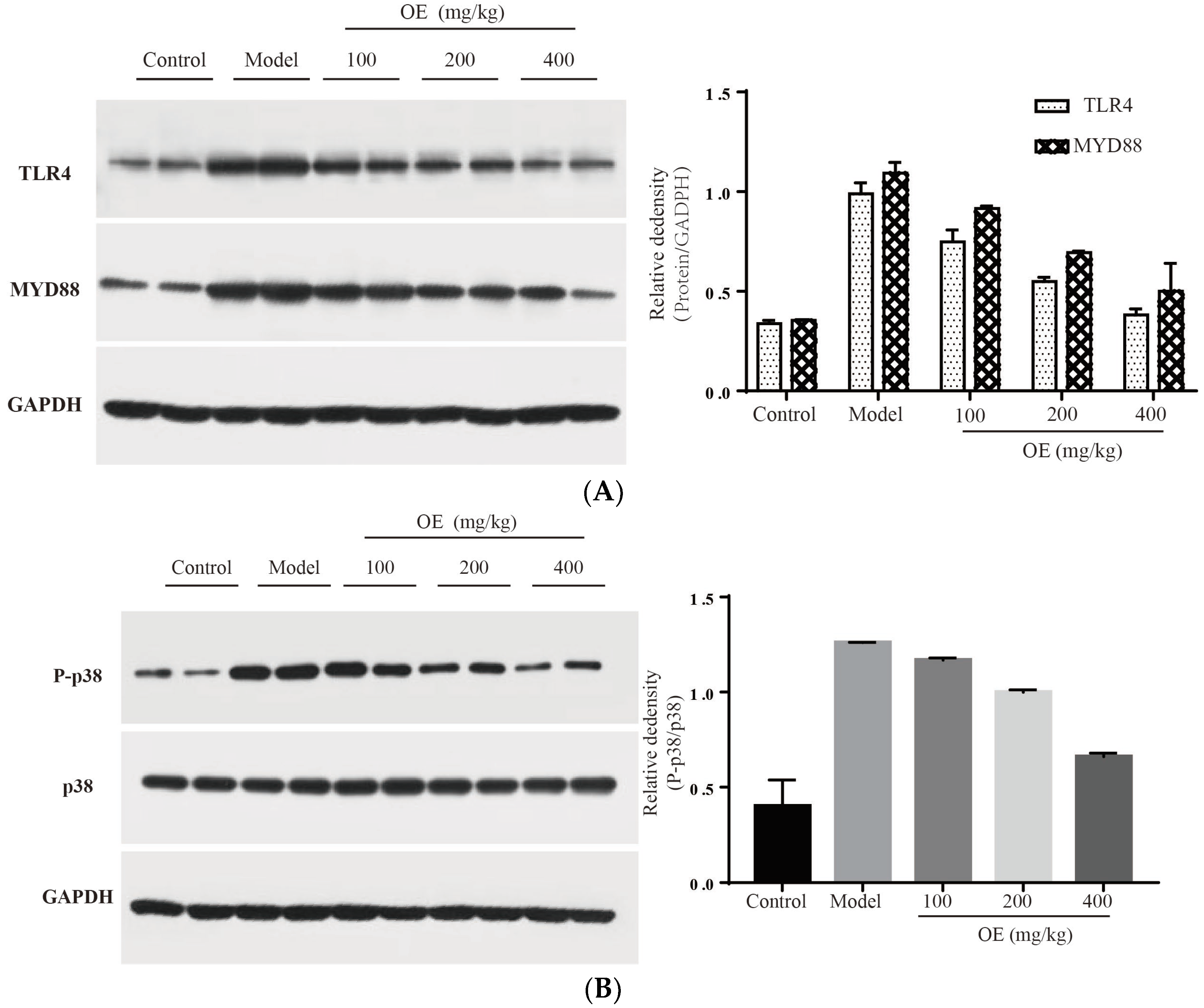Molecules 28 00443 g006a Molecules 28 00443 g006a
