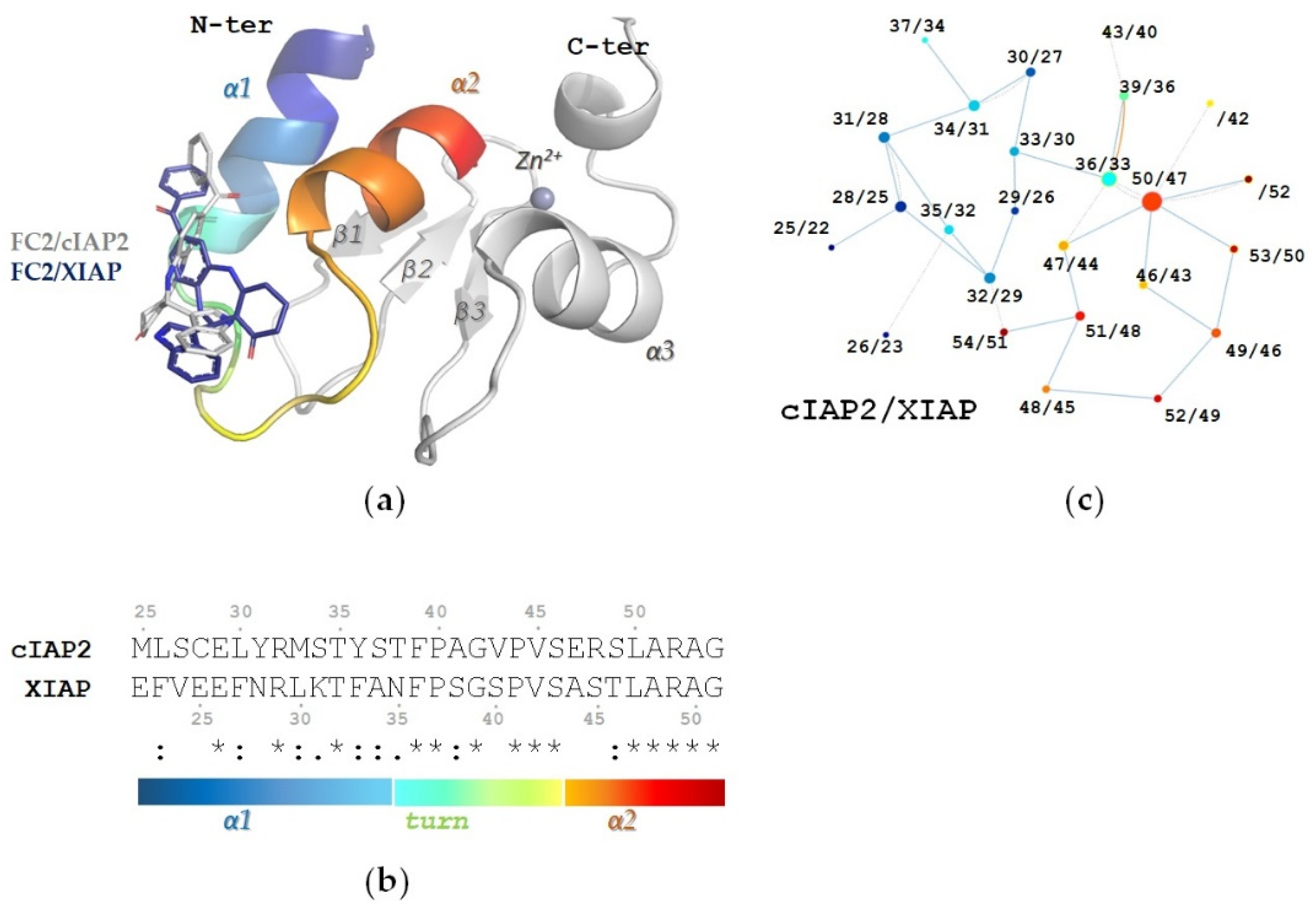 Molecules 28 00446 g001