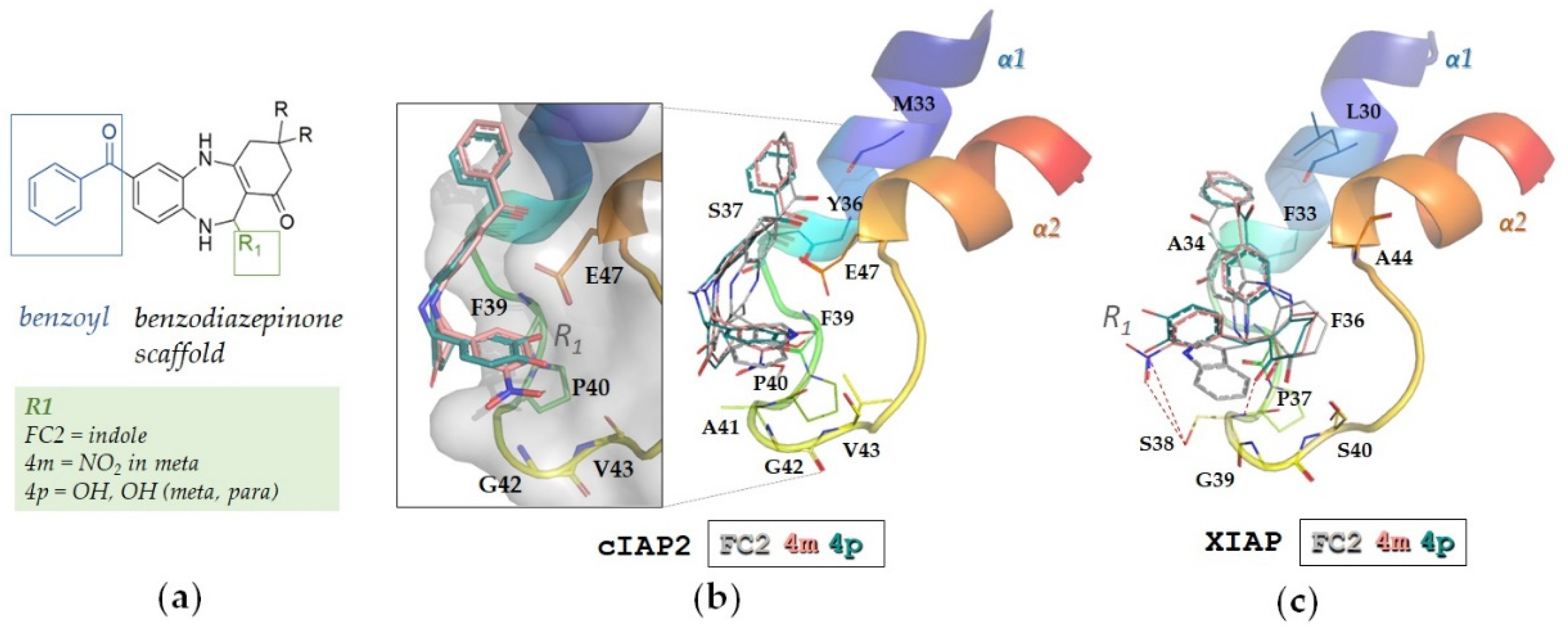 Molecules 28 00446 g002