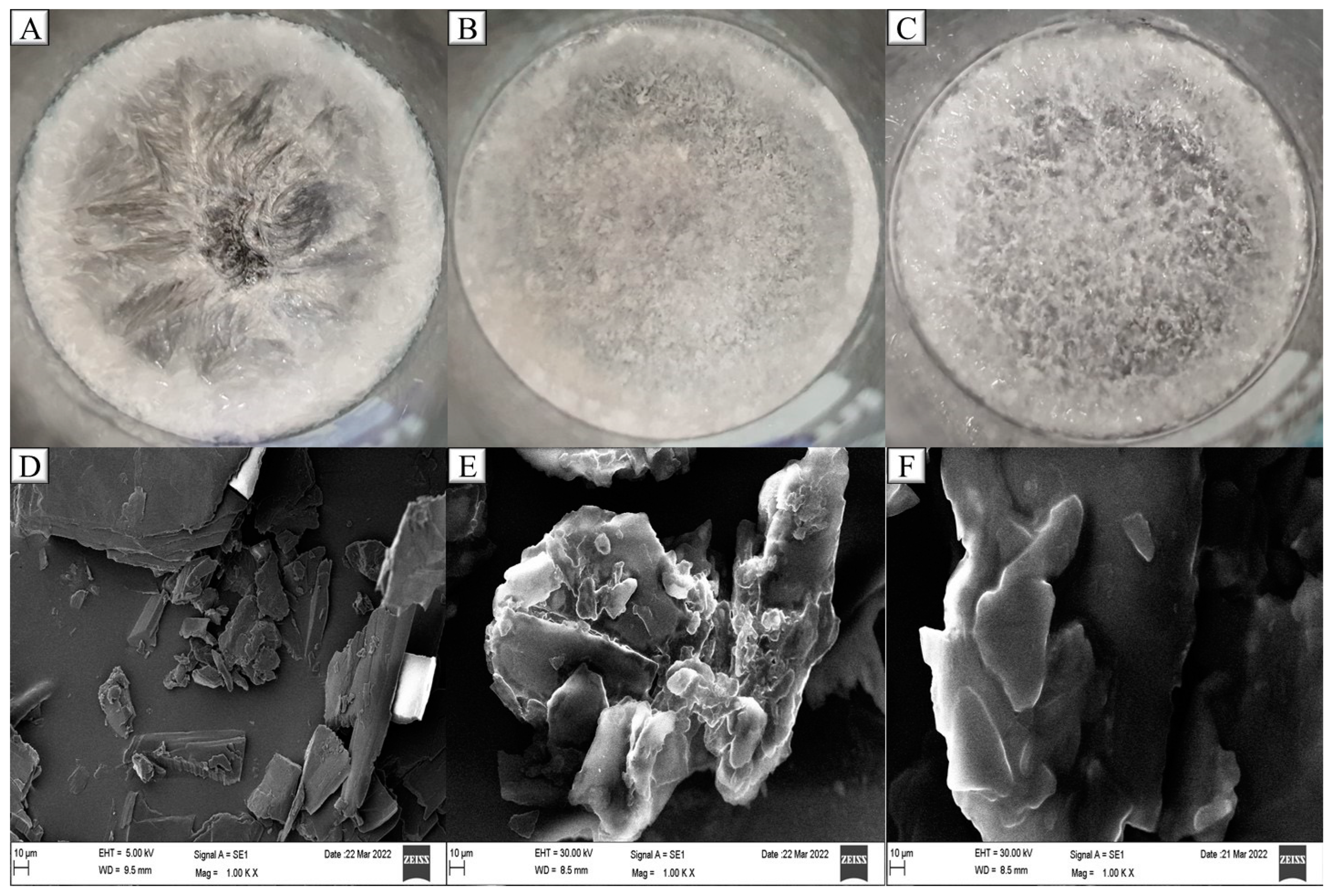 Molecules 28 00448 g006