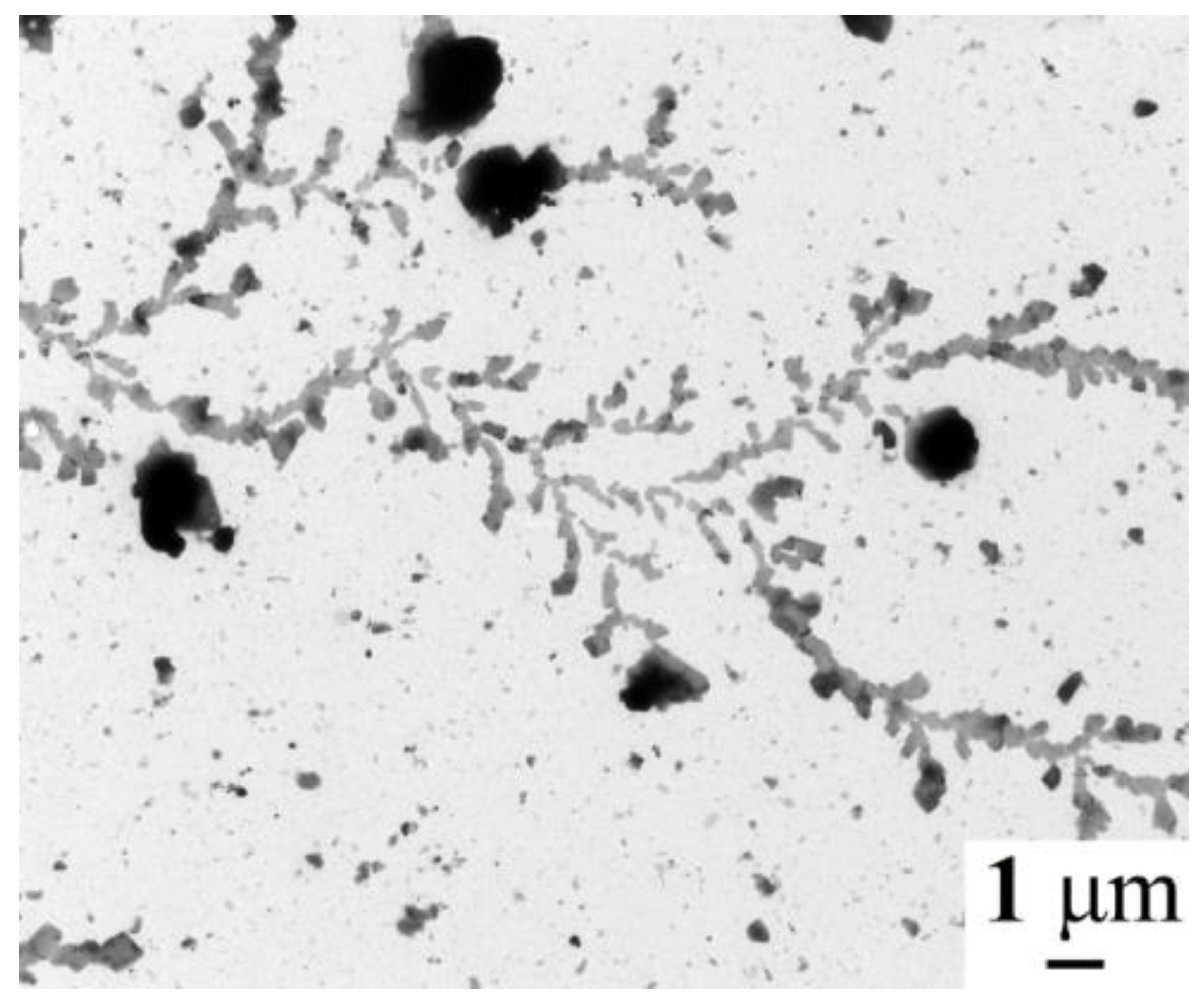Molecules 28 00453 g010 Molecules 28 00453 g010