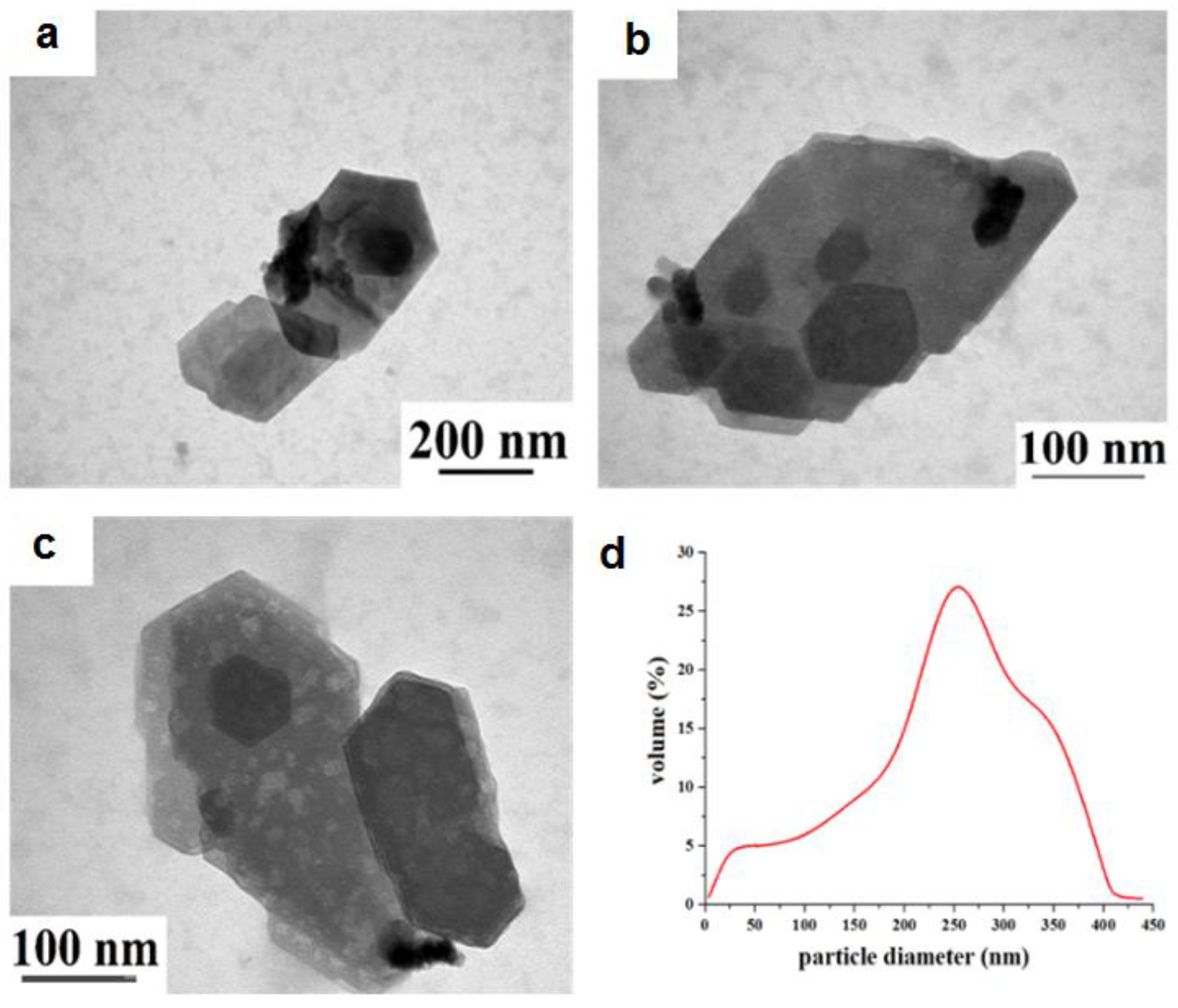 Molecules 28 00453 g011 Molecules 28 00453 g011
