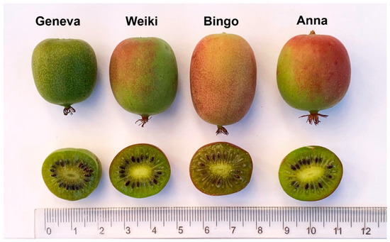 Molecules 28 00455 g005
