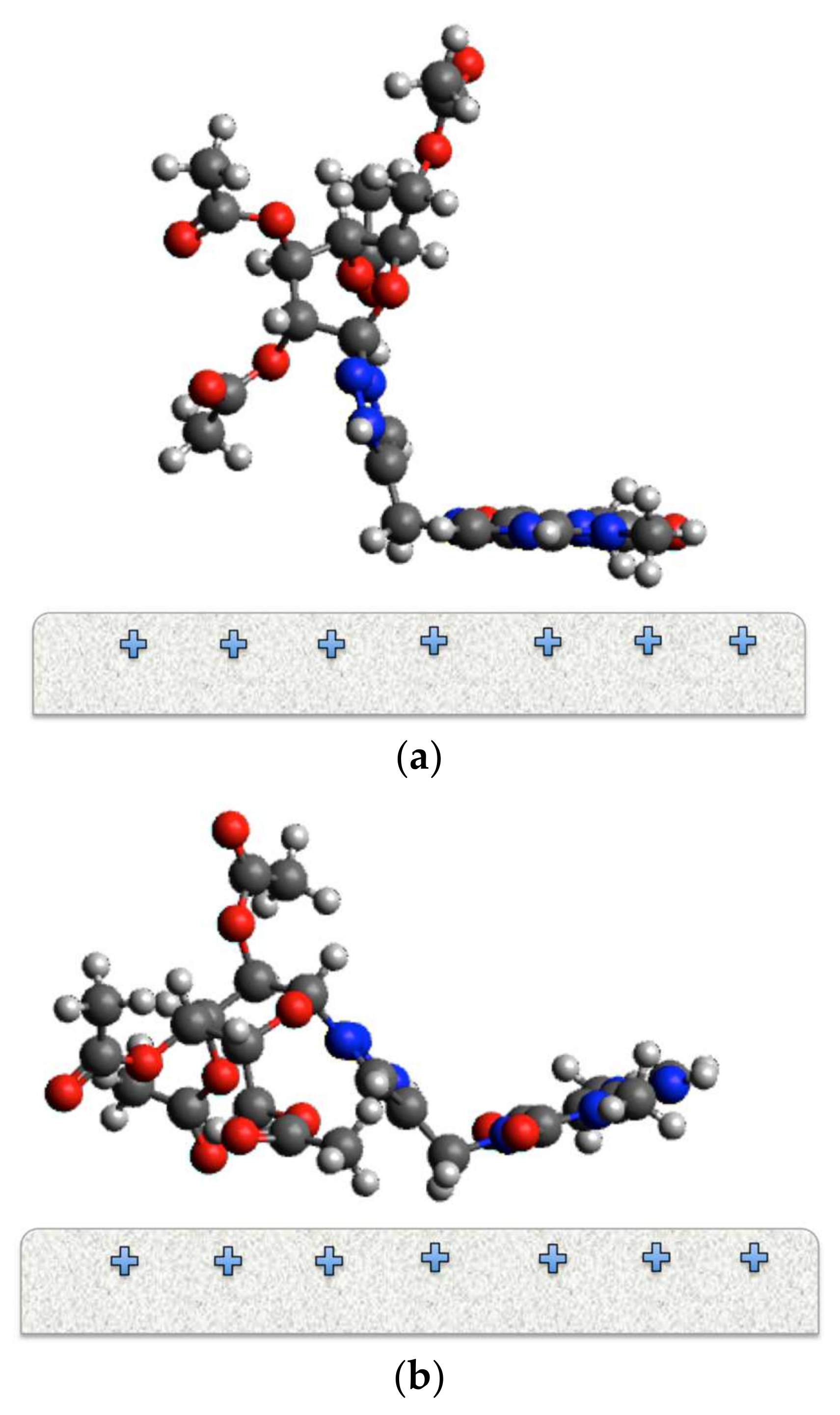 Molecules 28 00460 g016