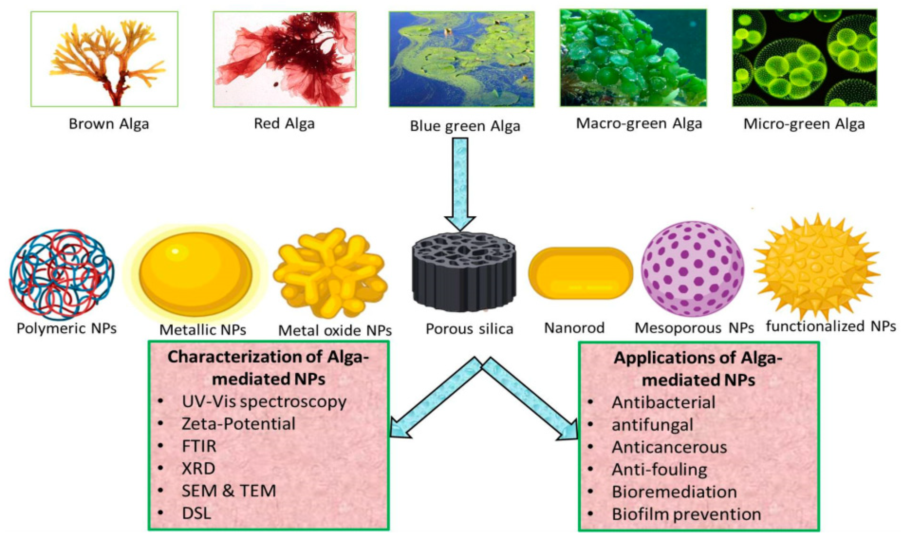 Molecules 28 00463 g004 Molecules 28 00463 g004