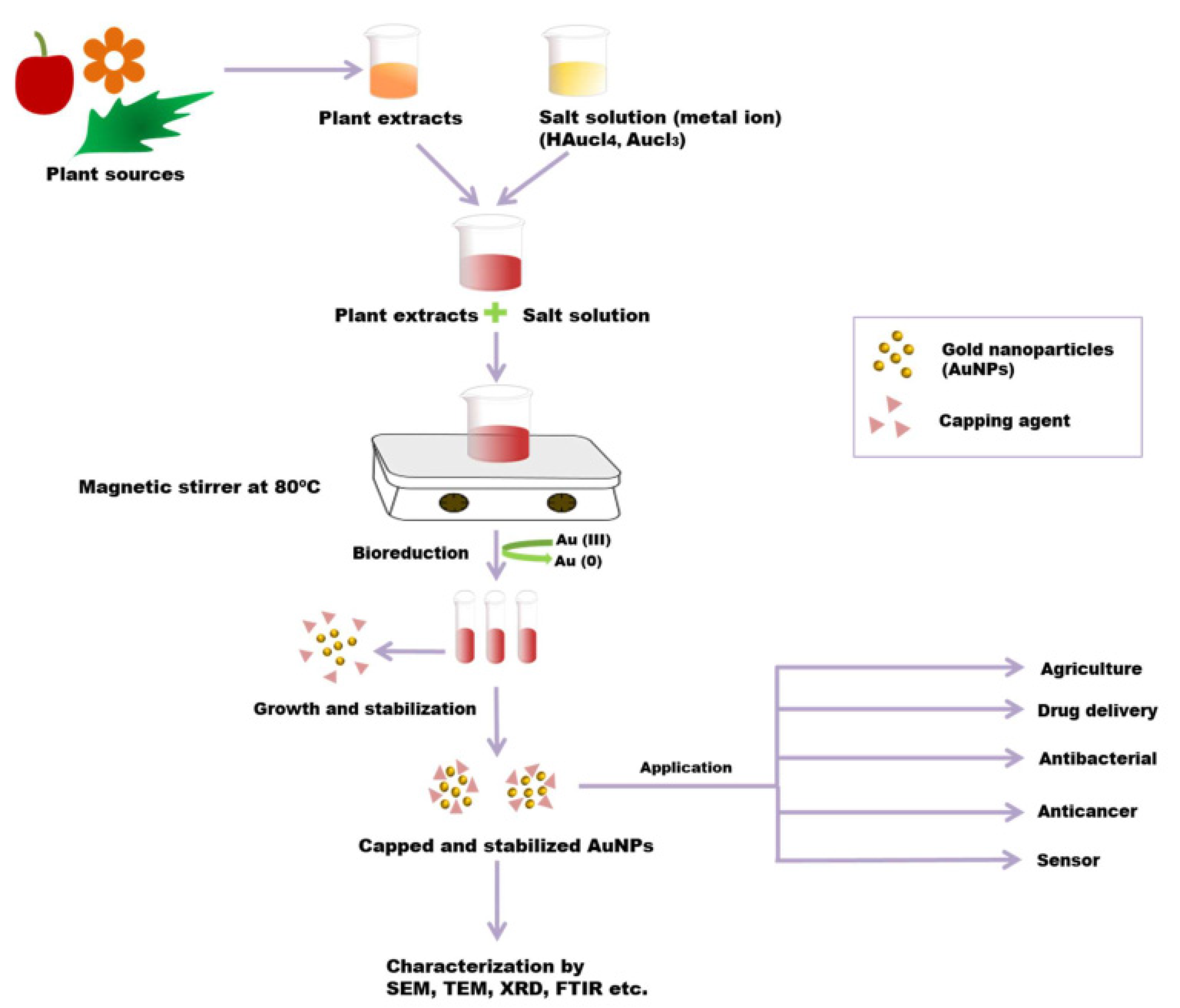 Molecules 28 00463 g005 Molecules 28 00463 g005