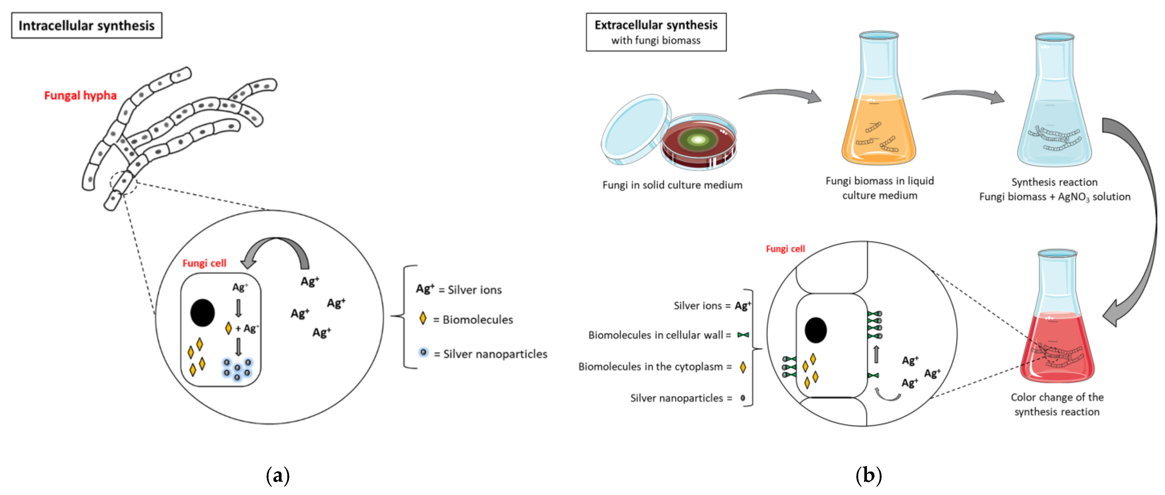 Molecules 28 00463 g006a Molecules 28 00463 g006a