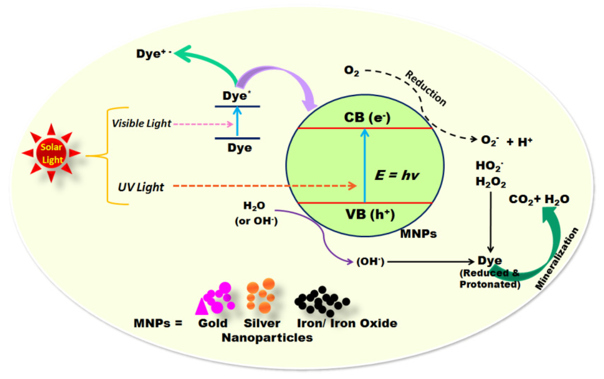 Molecules 28 00463 g008 Molecules 28 00463 g008