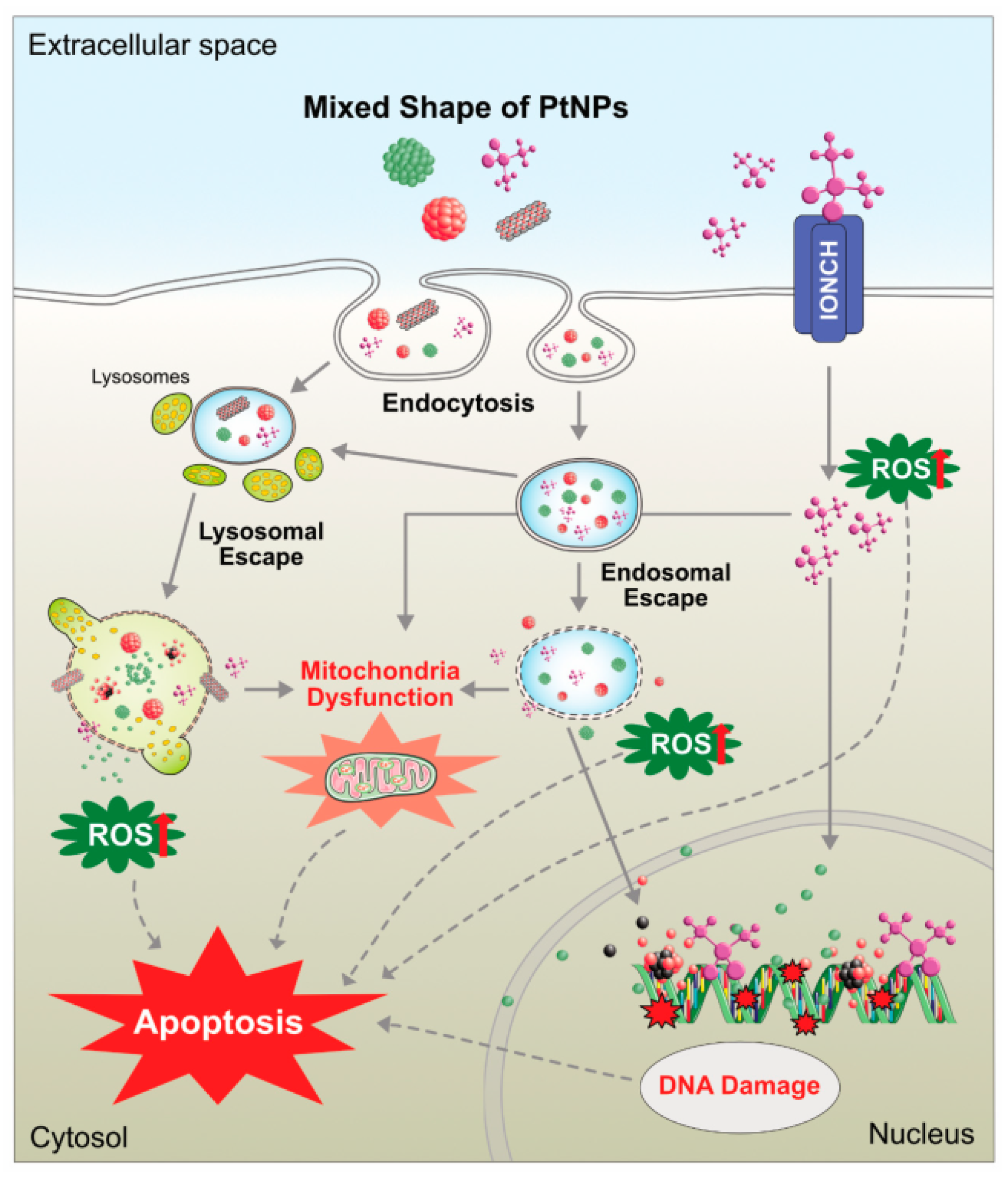 Molecules 28 00463 g009 Molecules 28 00463 g009