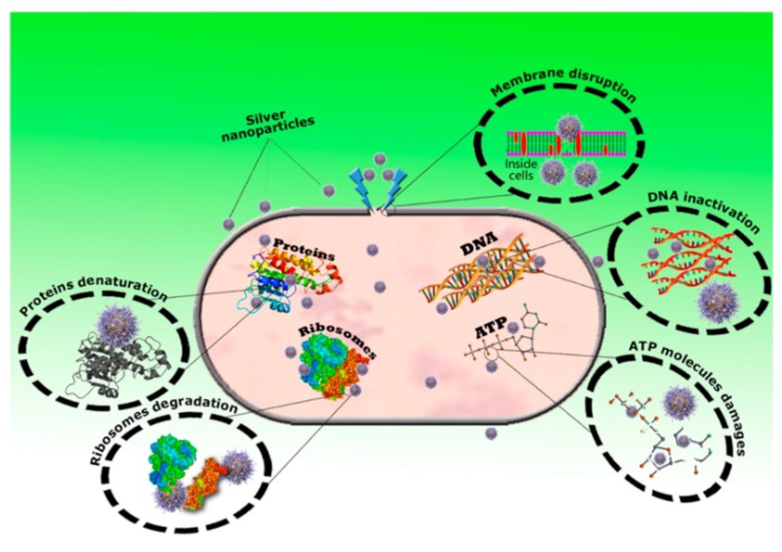 Molecules 28 00463 g010 Molecules 28 00463 g010