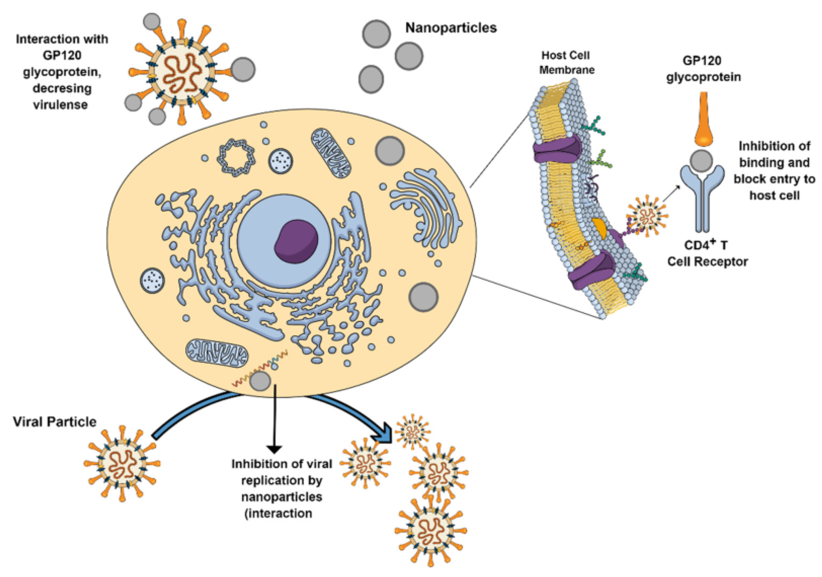 Molecules 28 00463 g011 Molecules 28 00463 g011