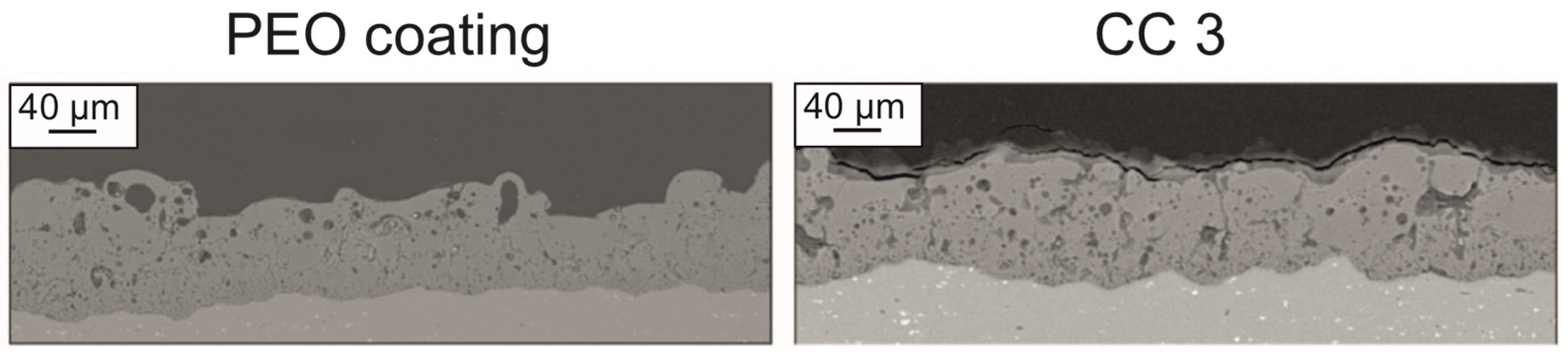 Molecules 28 00465 g002 Molecules 28 00465 g002