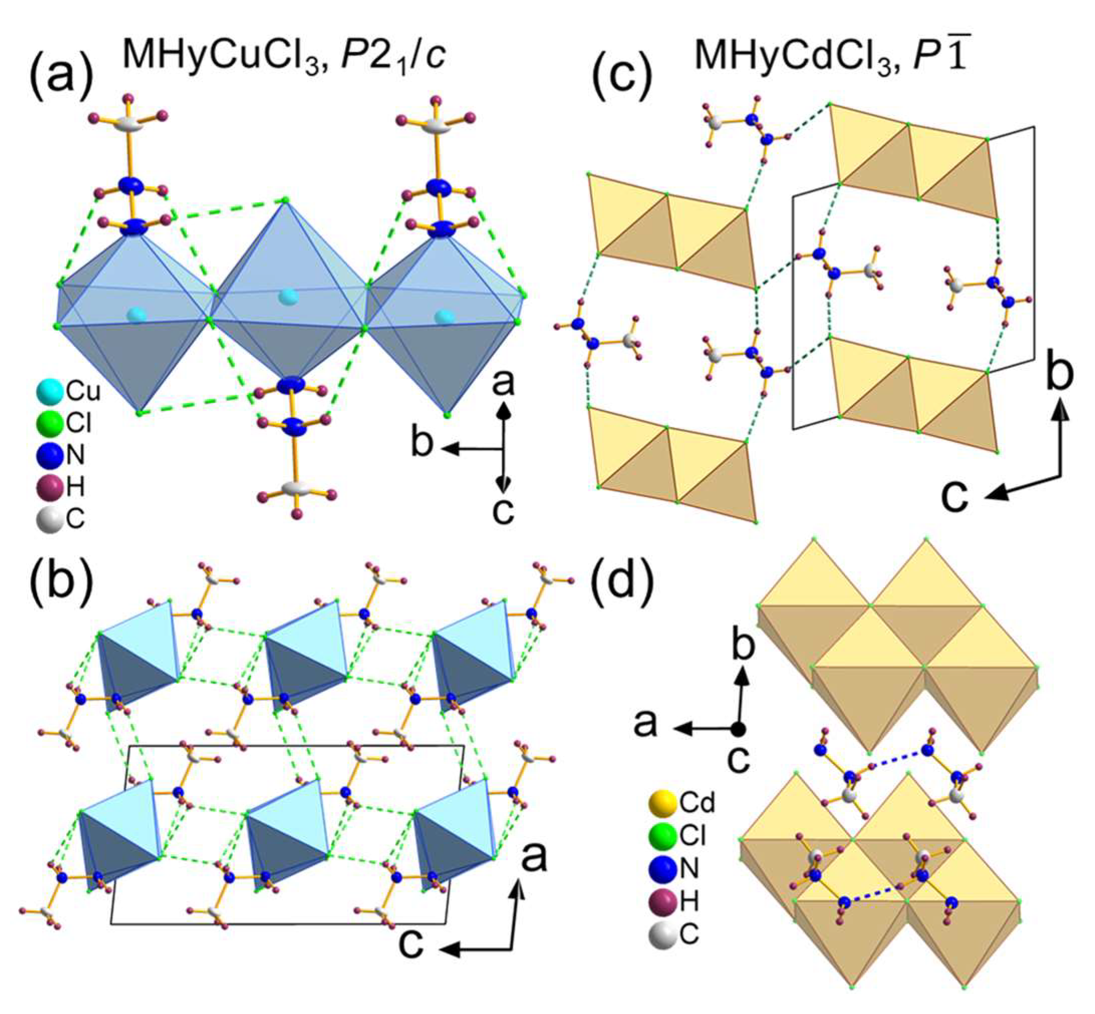 Molecules 28 00473 g001
