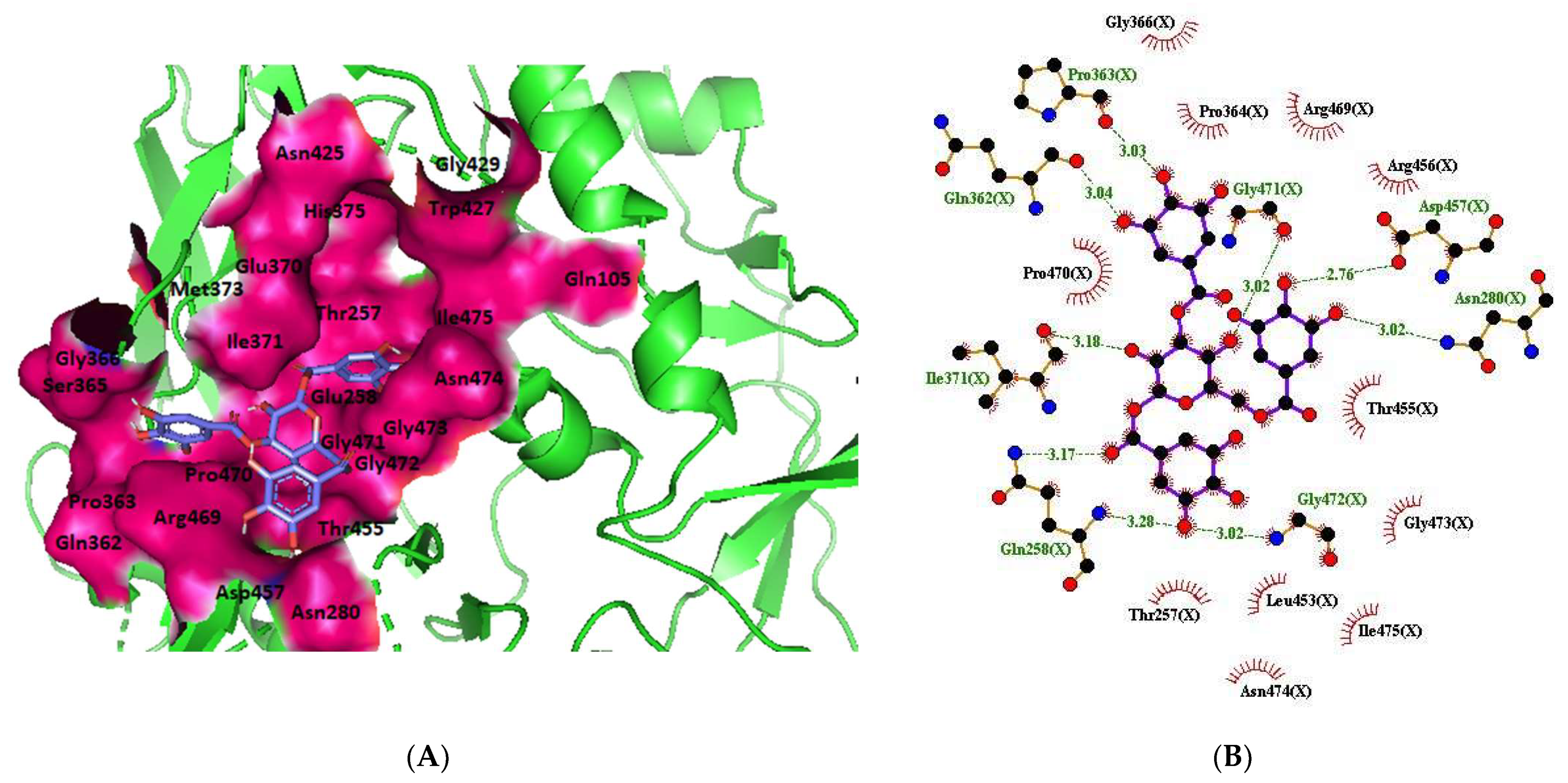 Molecules 28 00474 g003