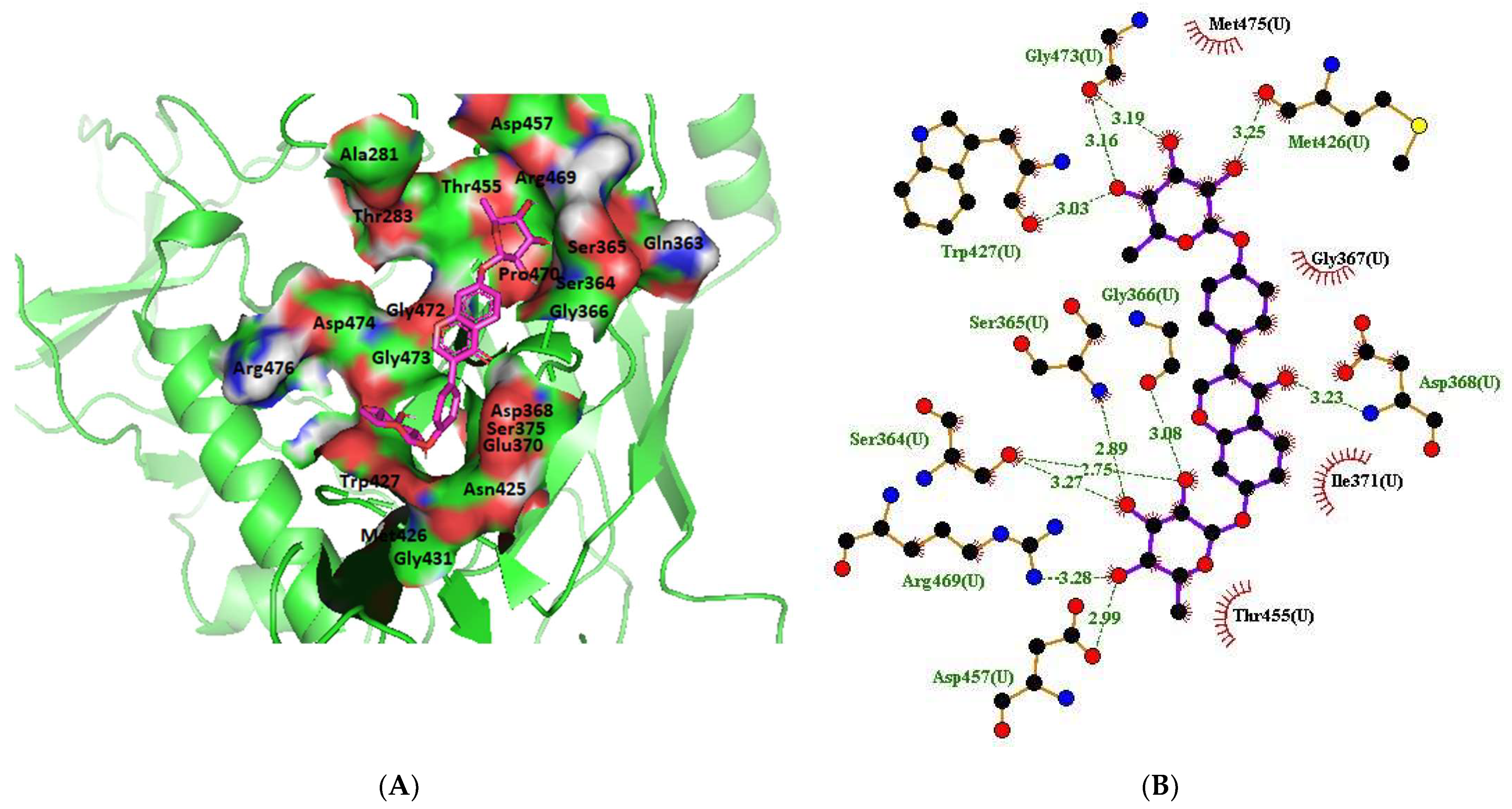 Molecules 28 00474 g004