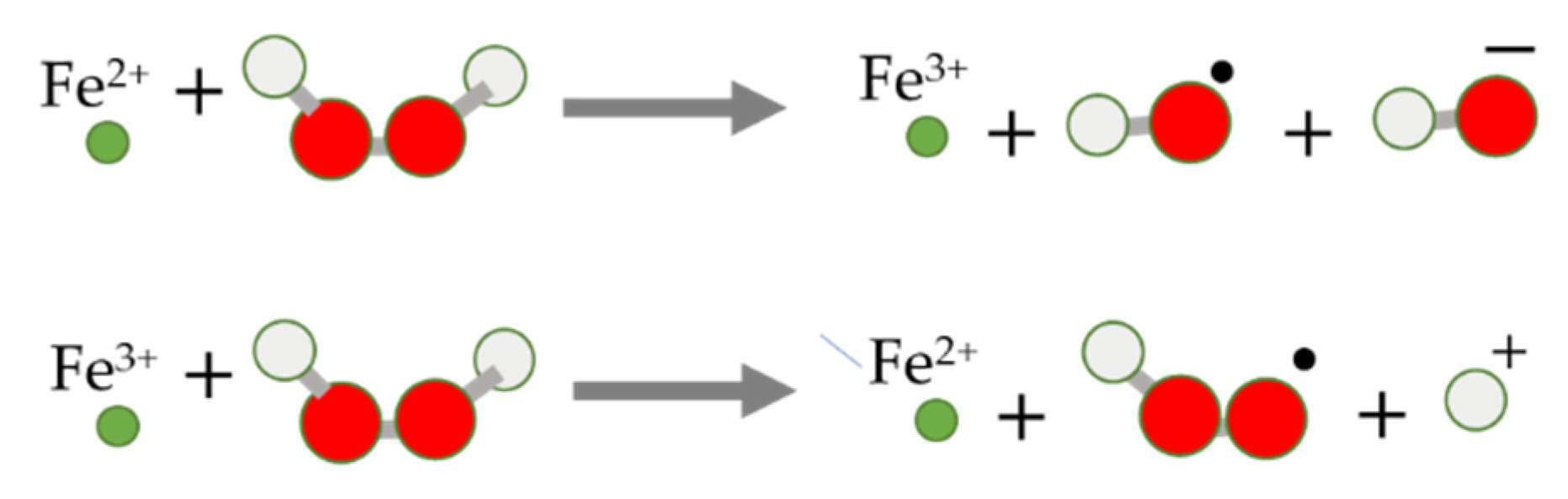 Molecules 28 00475 g001
