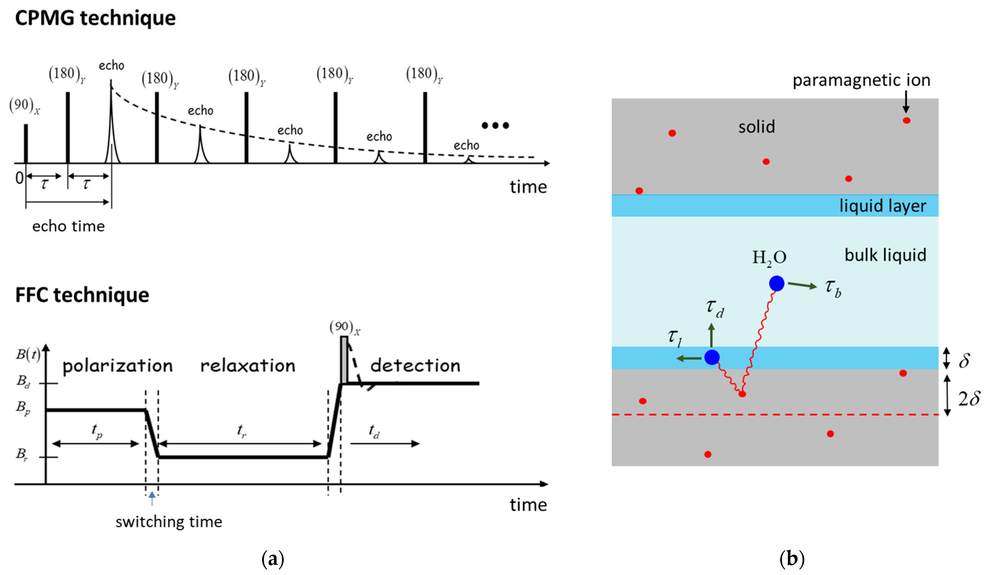 Molecules 28 00476 g005