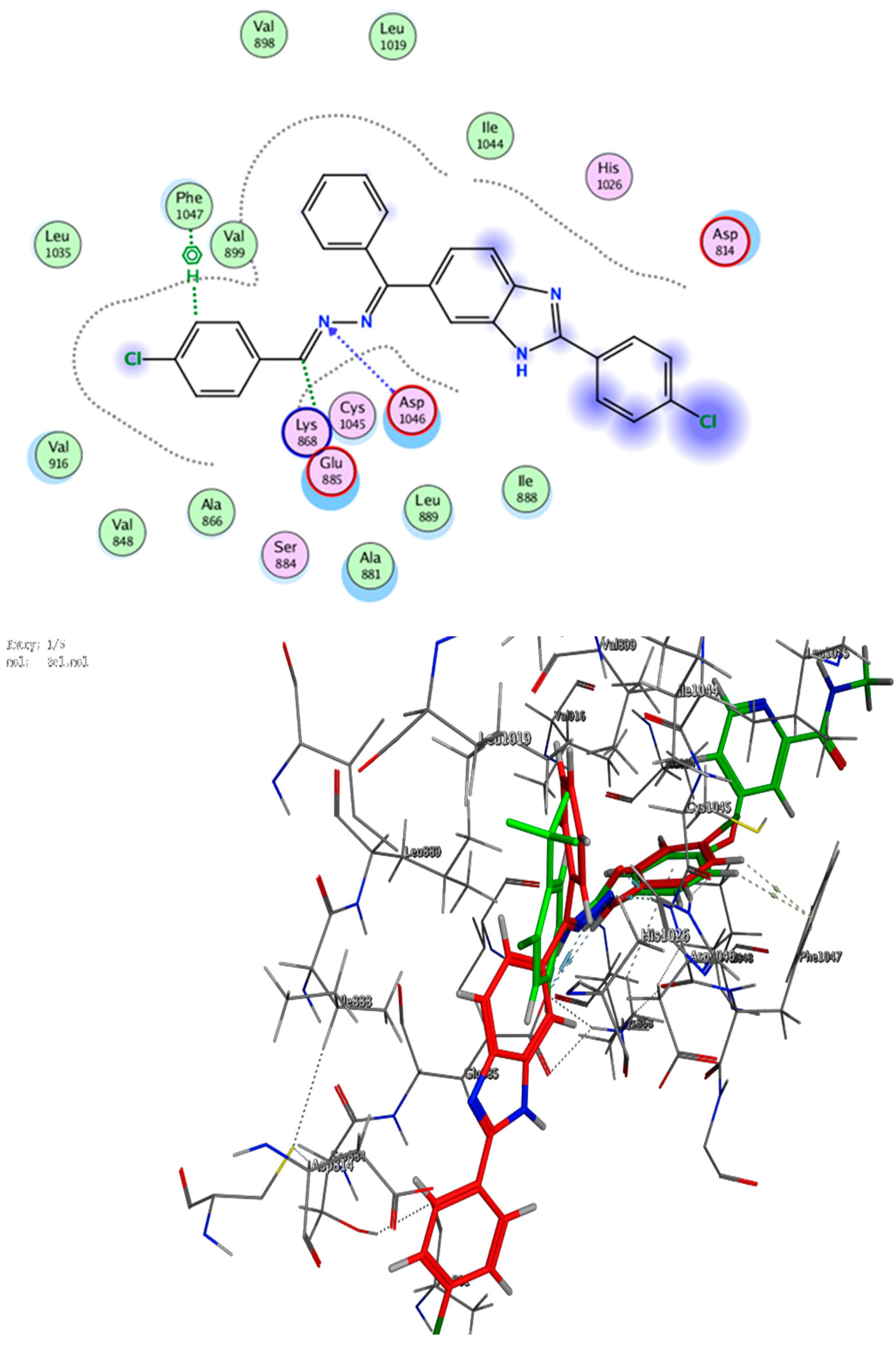 Molecules 28 00481 g006
