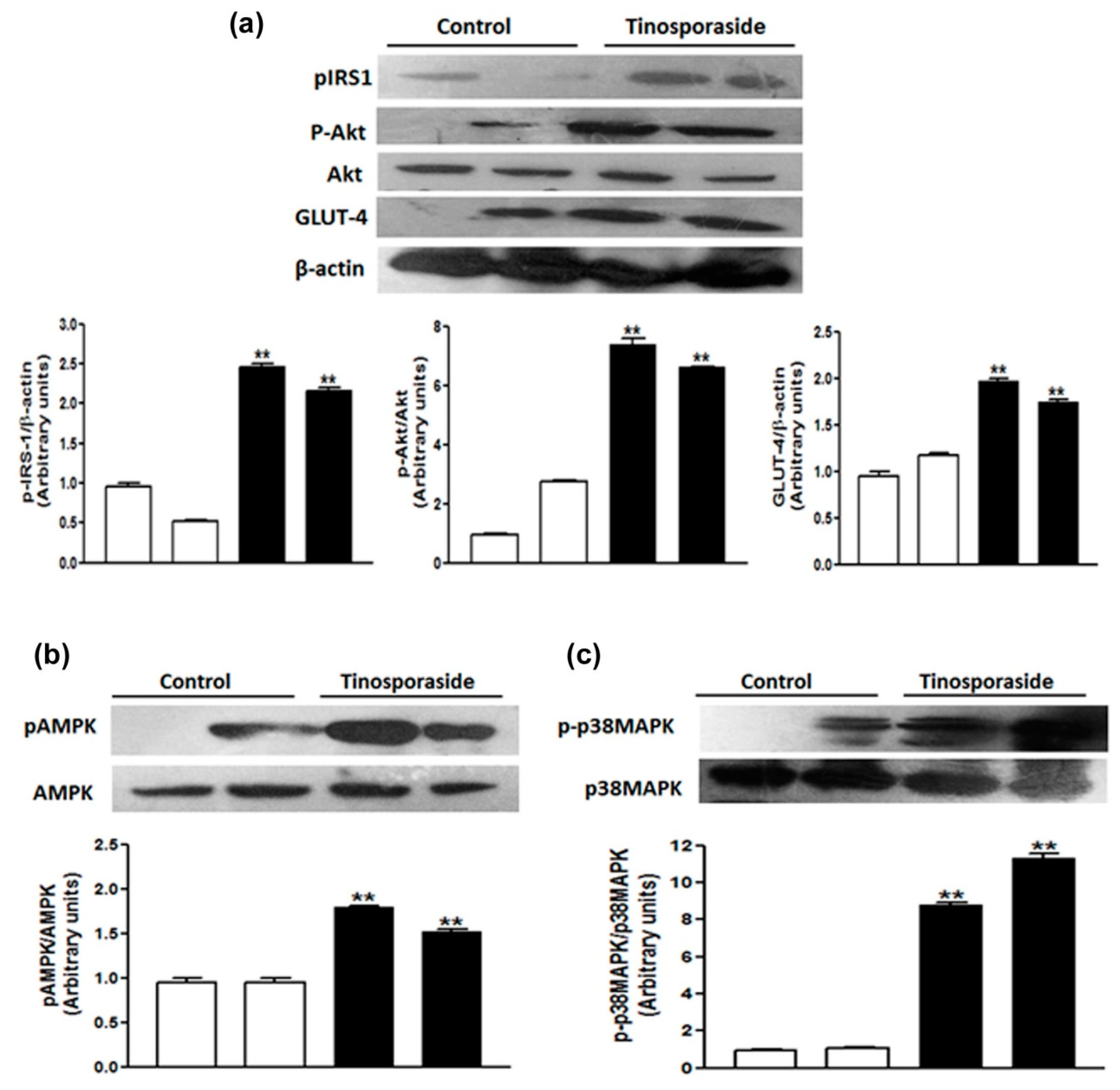 Molecules 28 00483 g008