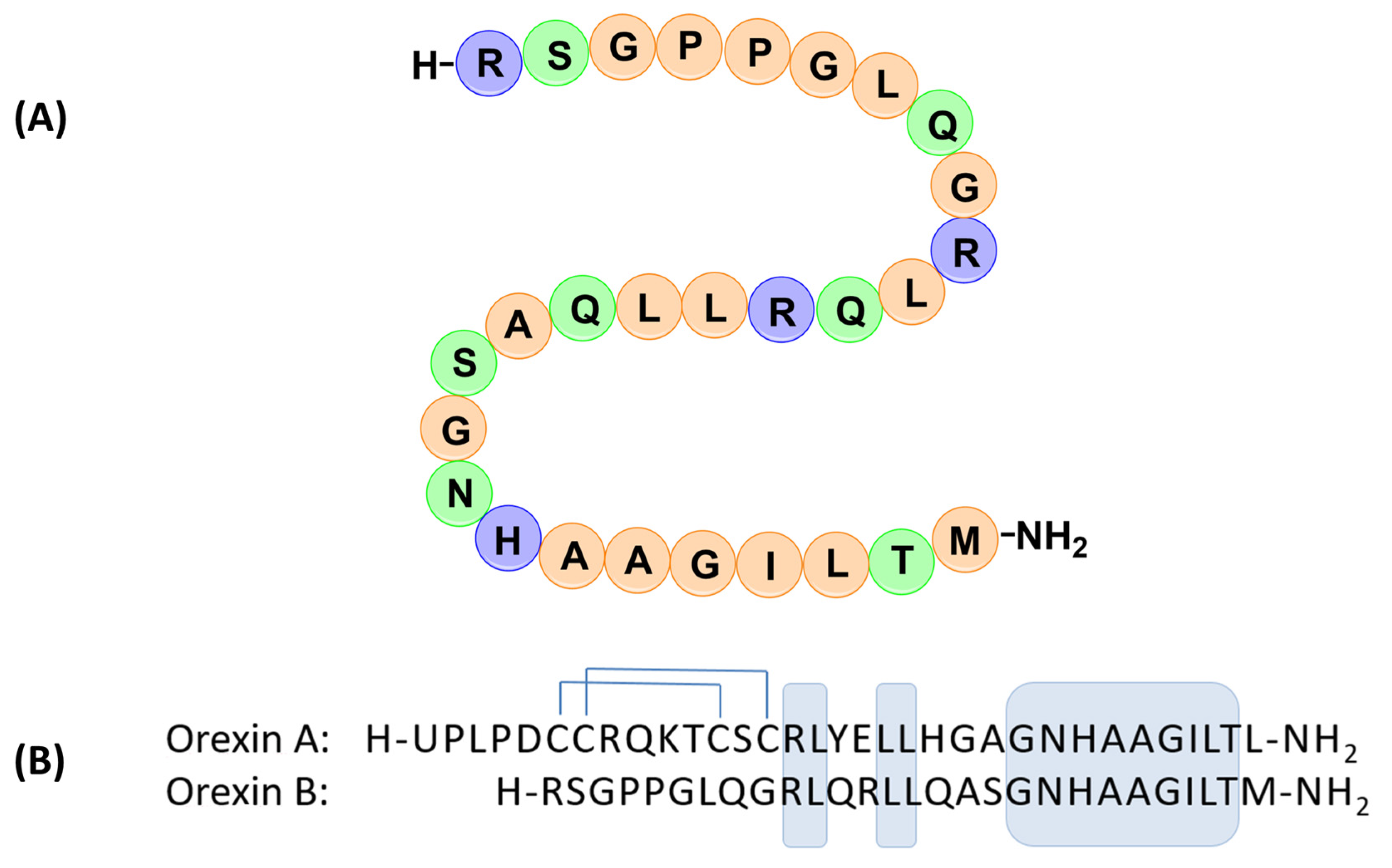 Molecules 28 00484 g001