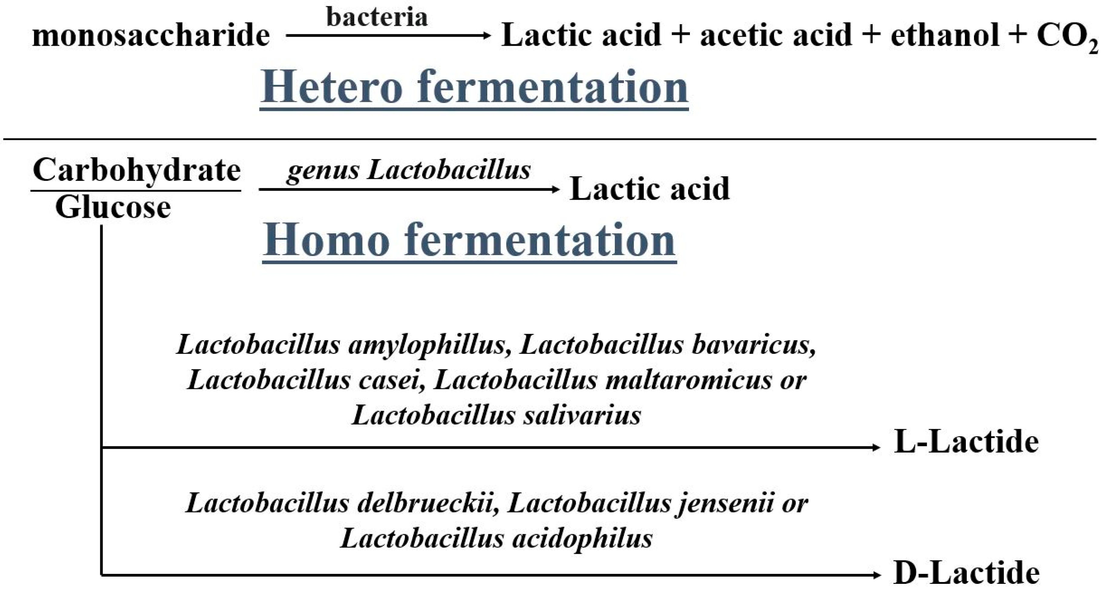 Molecules 28 00485 g001