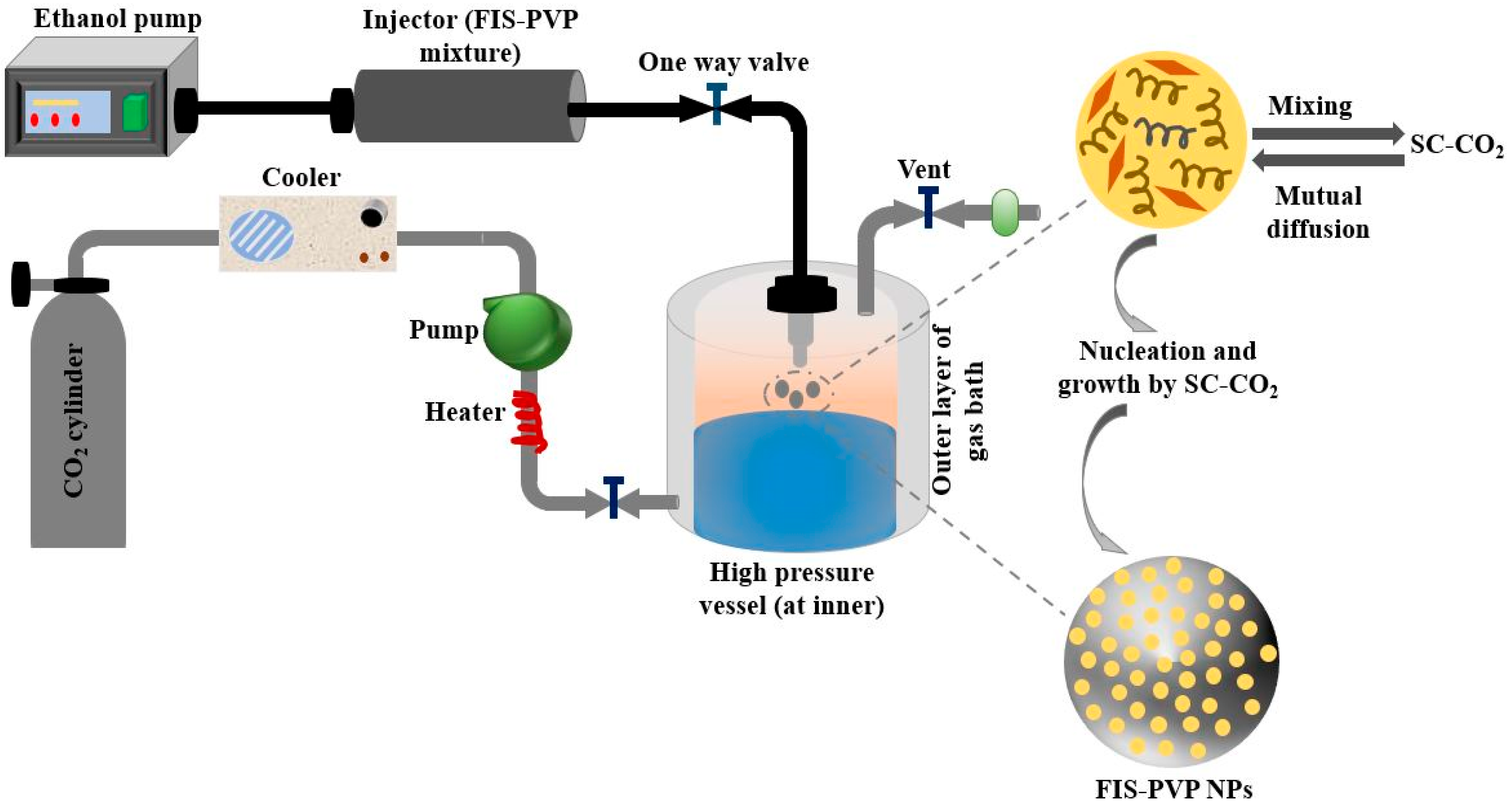 Molecules 28 00485 g005