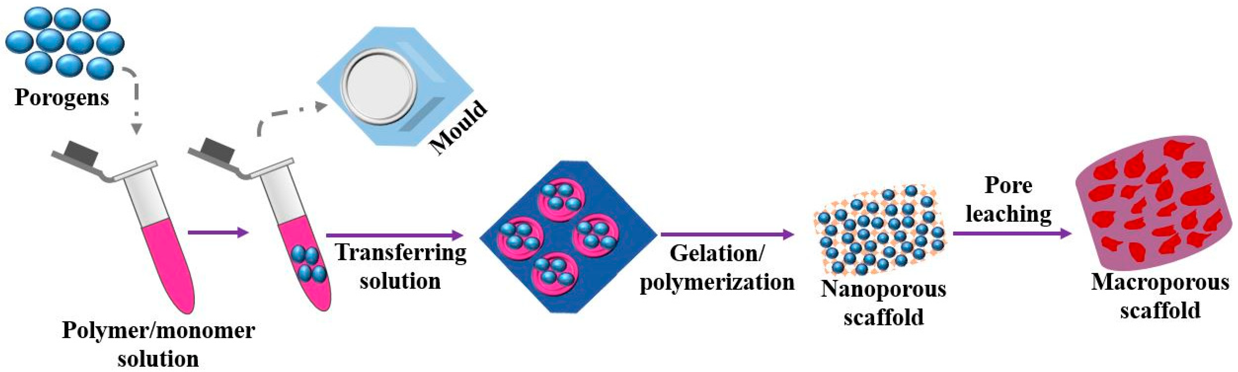 Molecules 28 00485 g006