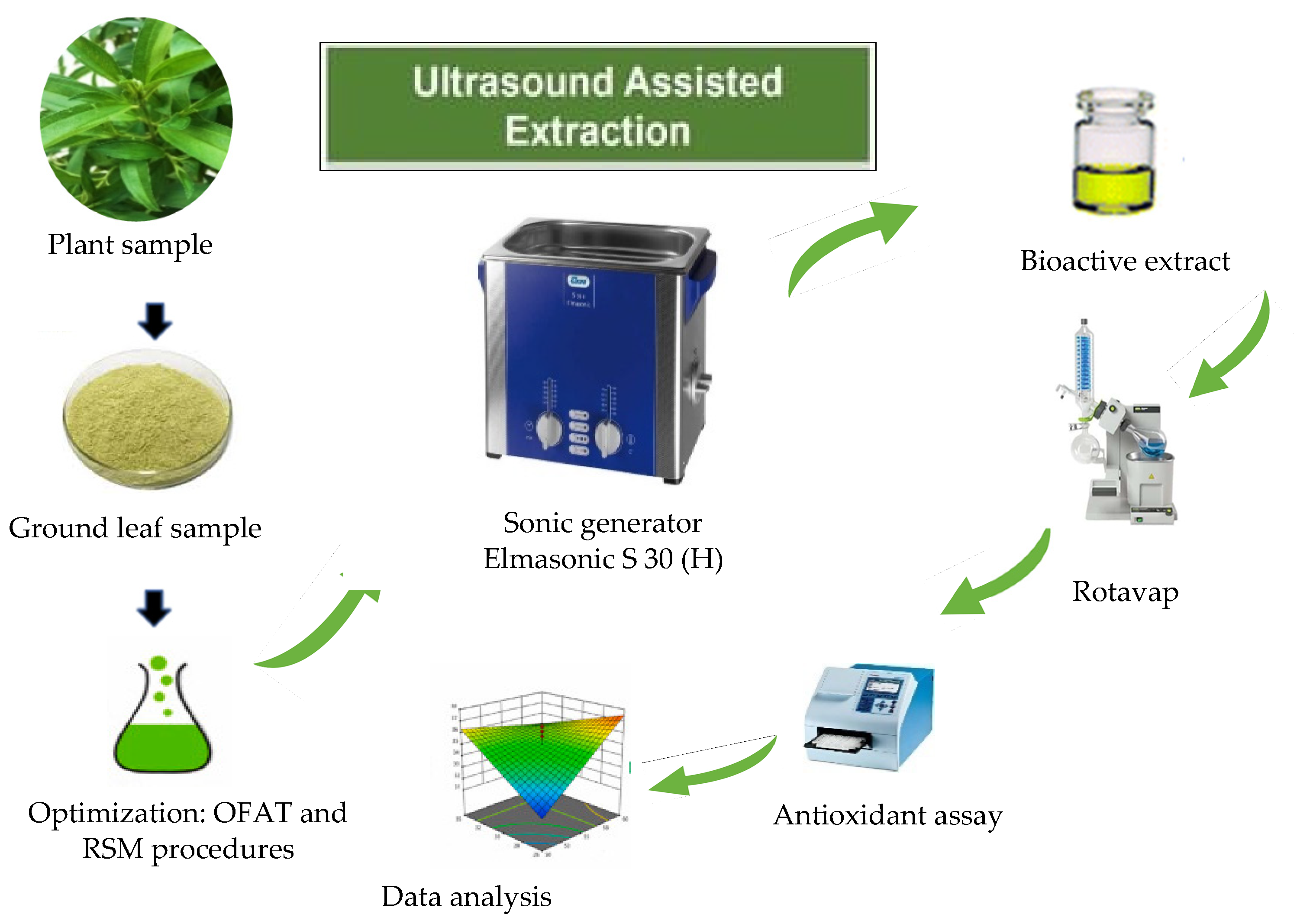 Molecules 28 00487 g002