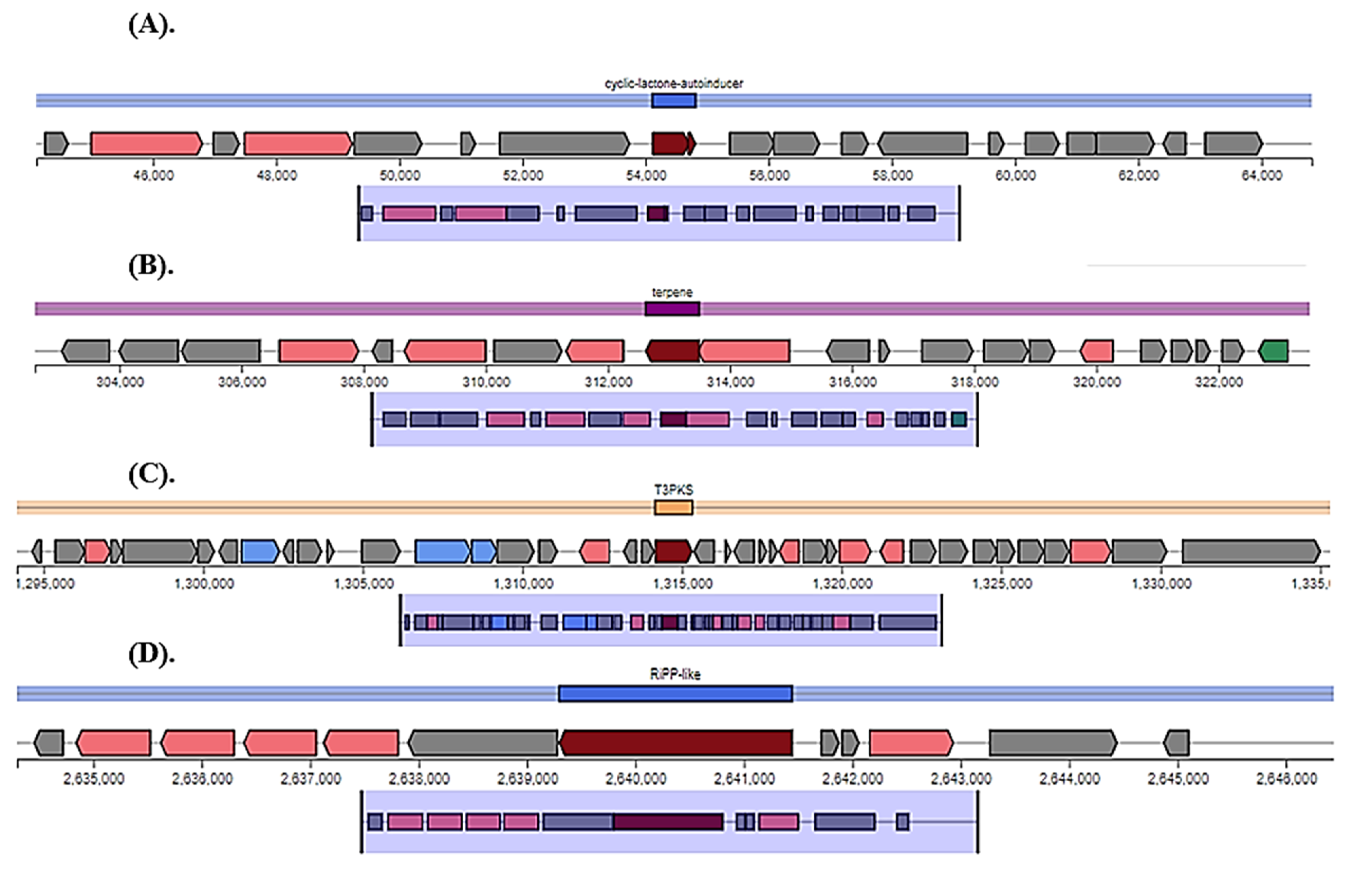 Molecules 28 00491 g004