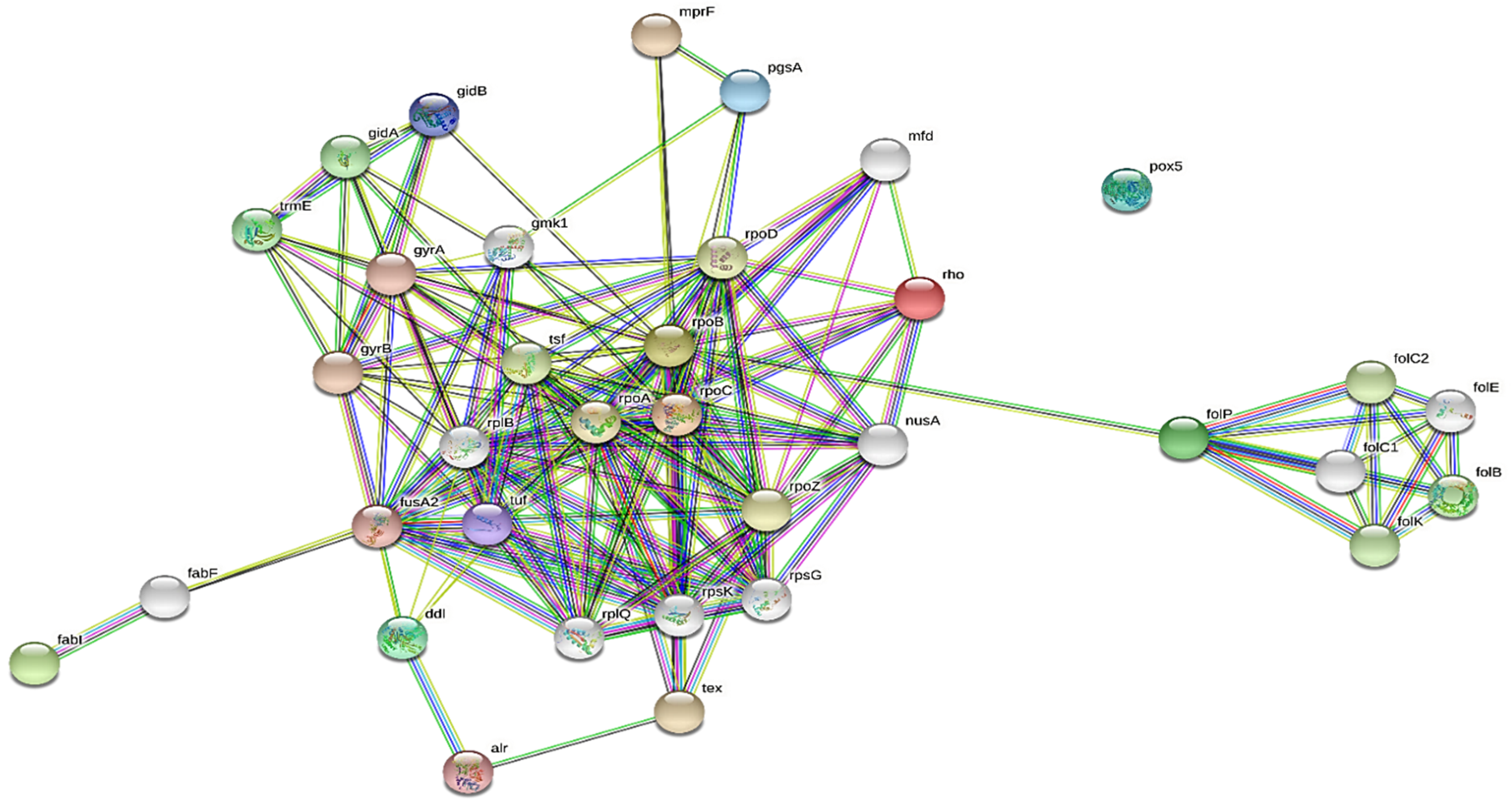 Molecules 28 00491 g006