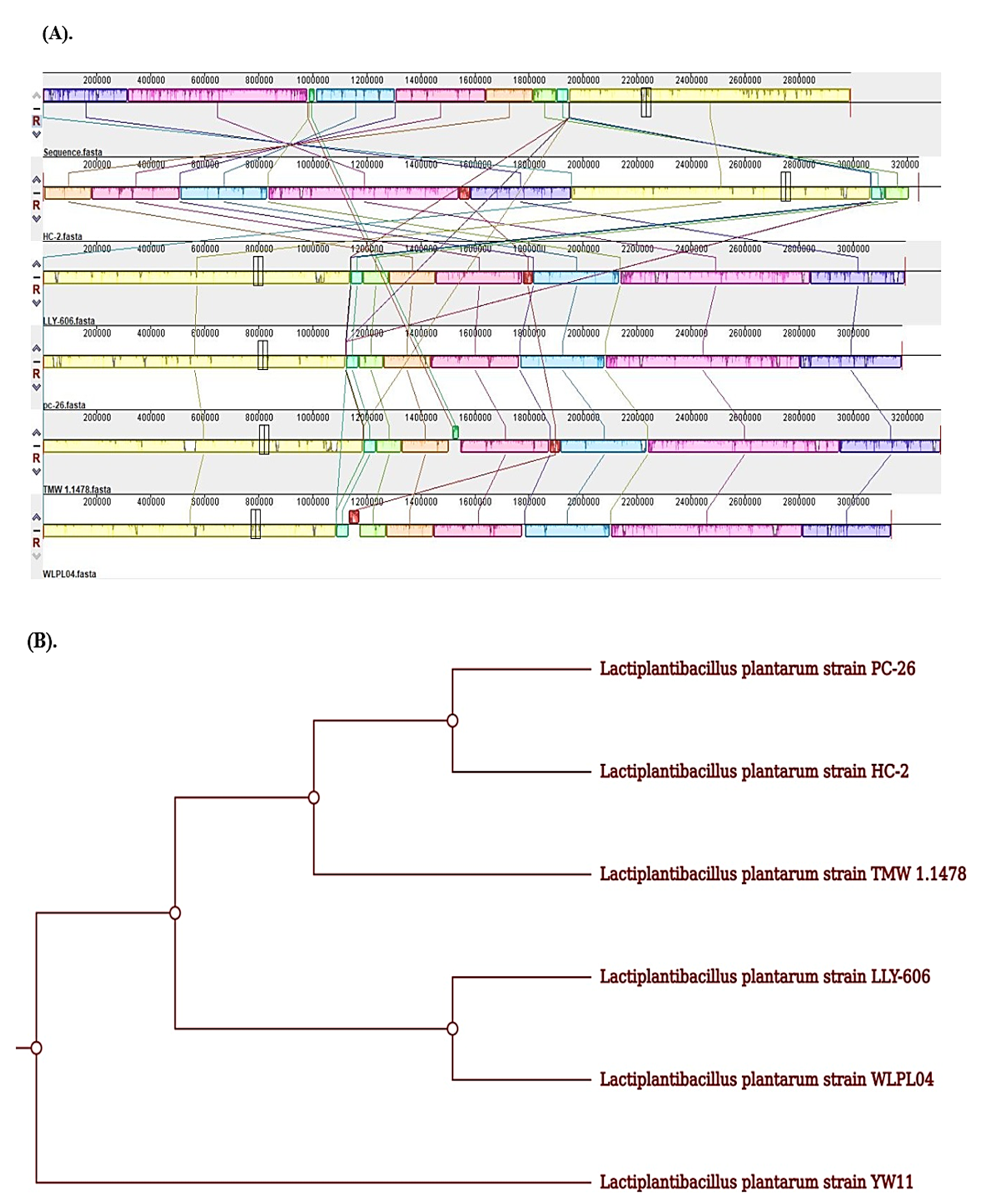 Molecules 28 00491 g008