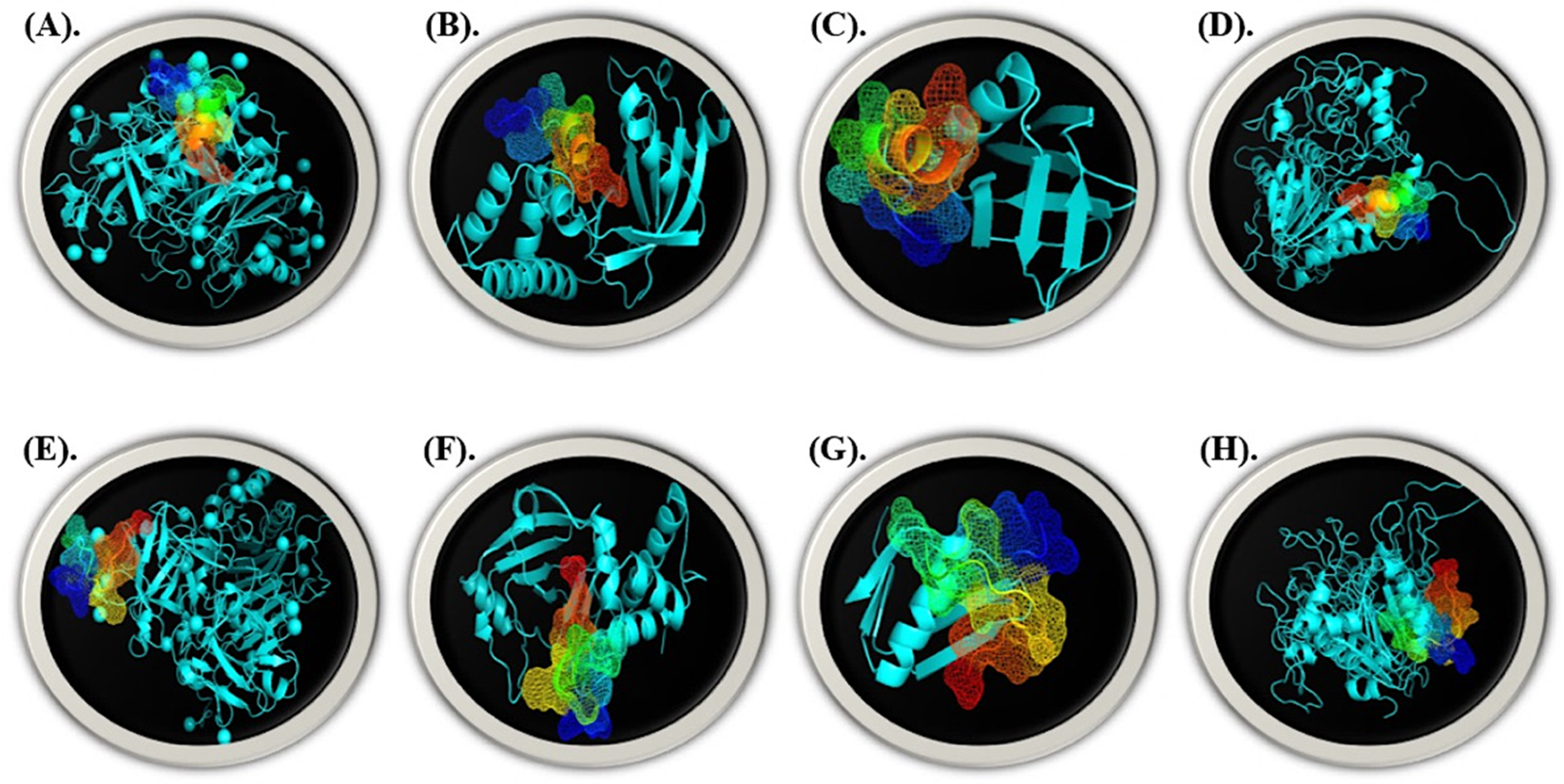 Molecules 28 00491 g012