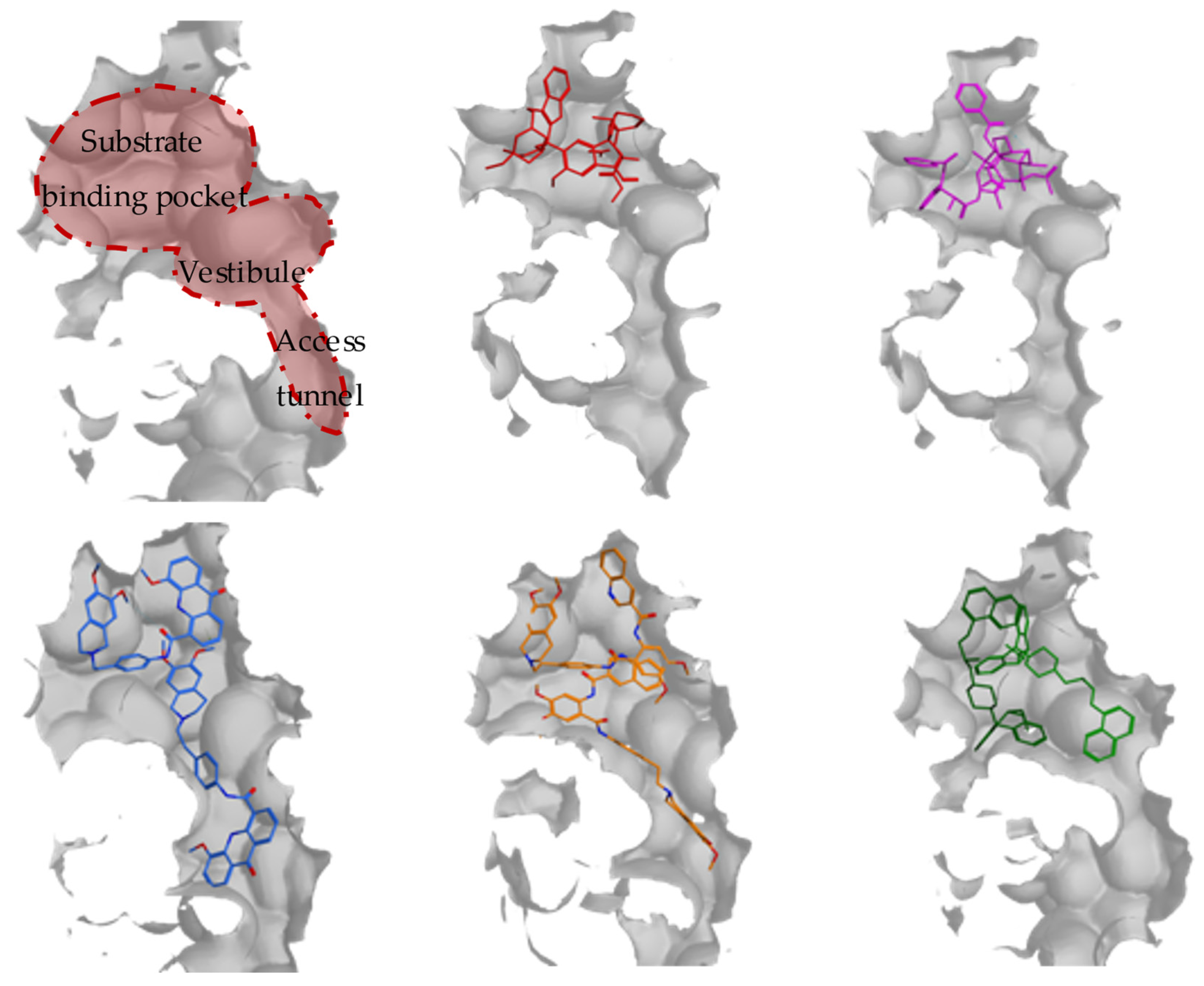 Molecules 28 00495 g001