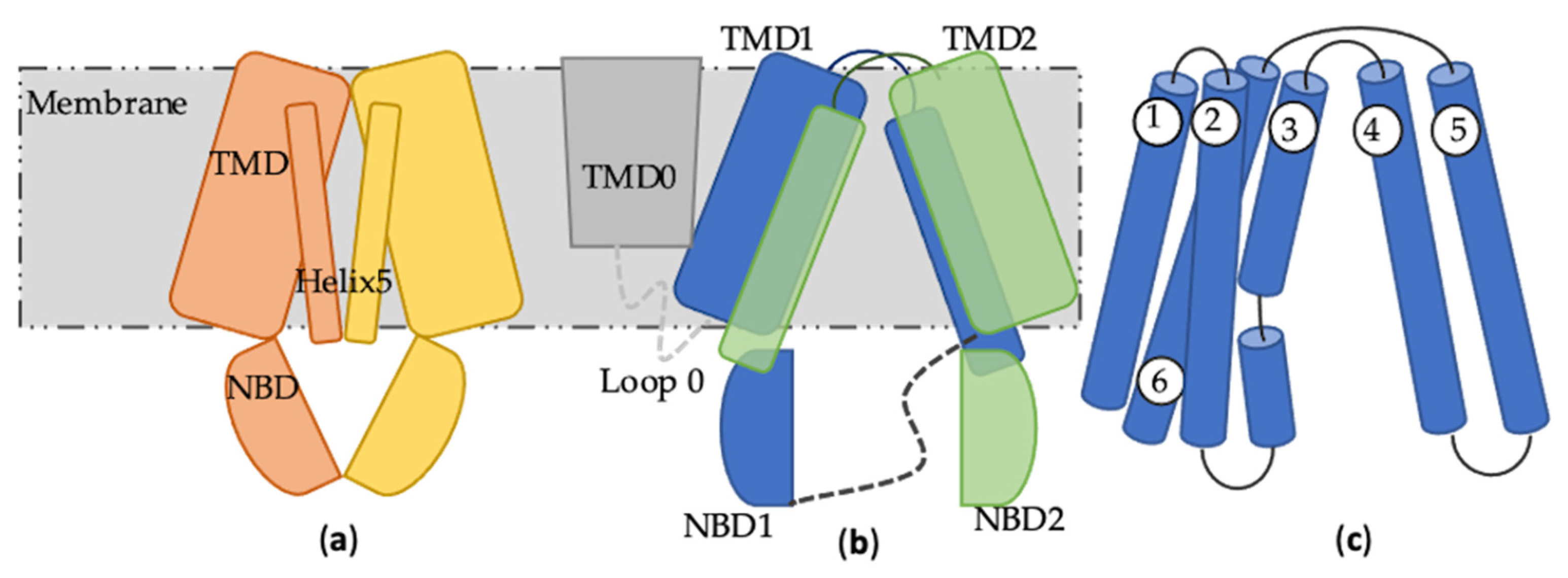 Molecules 28 00495 g002