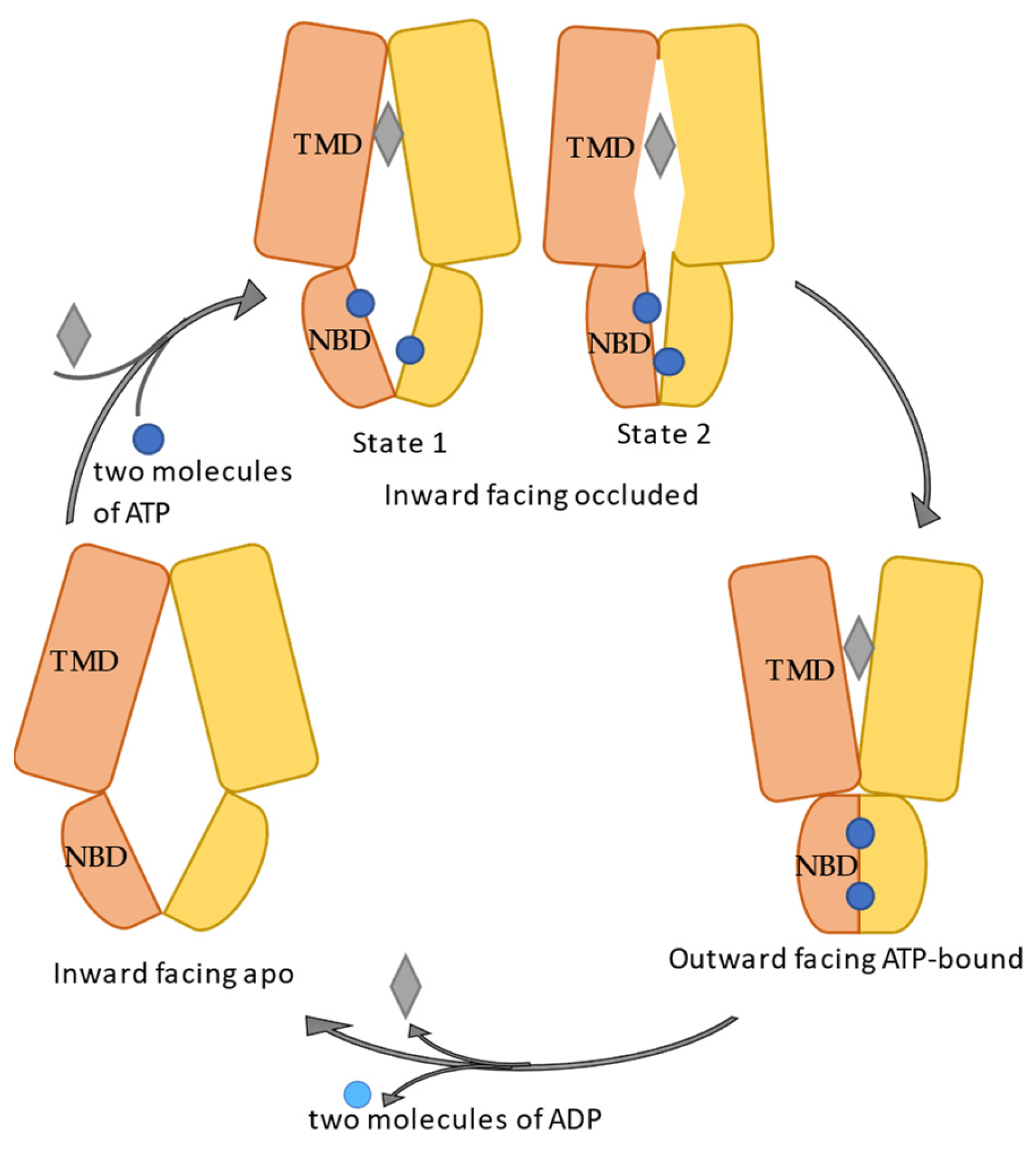 Molecules 28 00495 g003