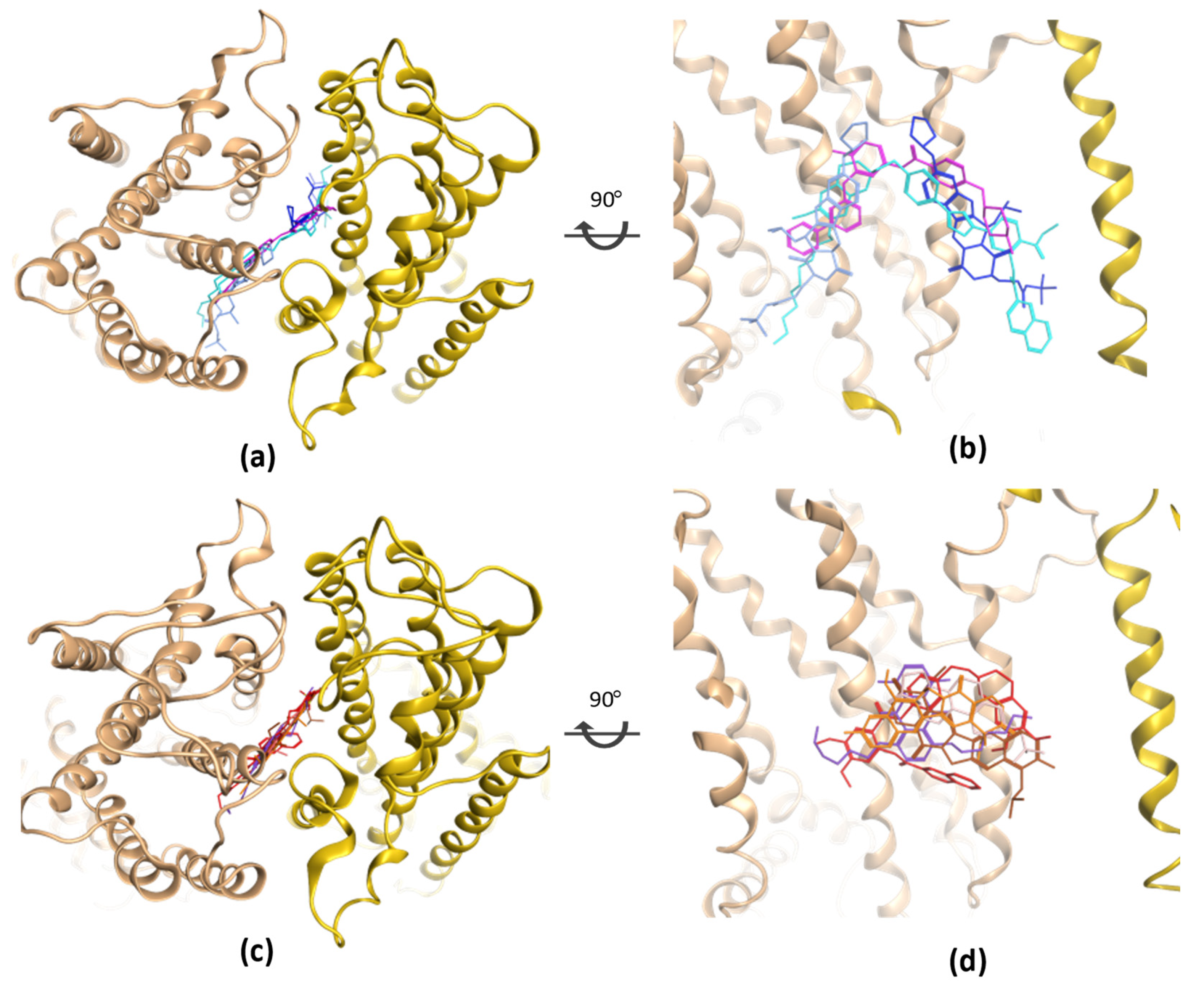 Molecules 28 00495 g004