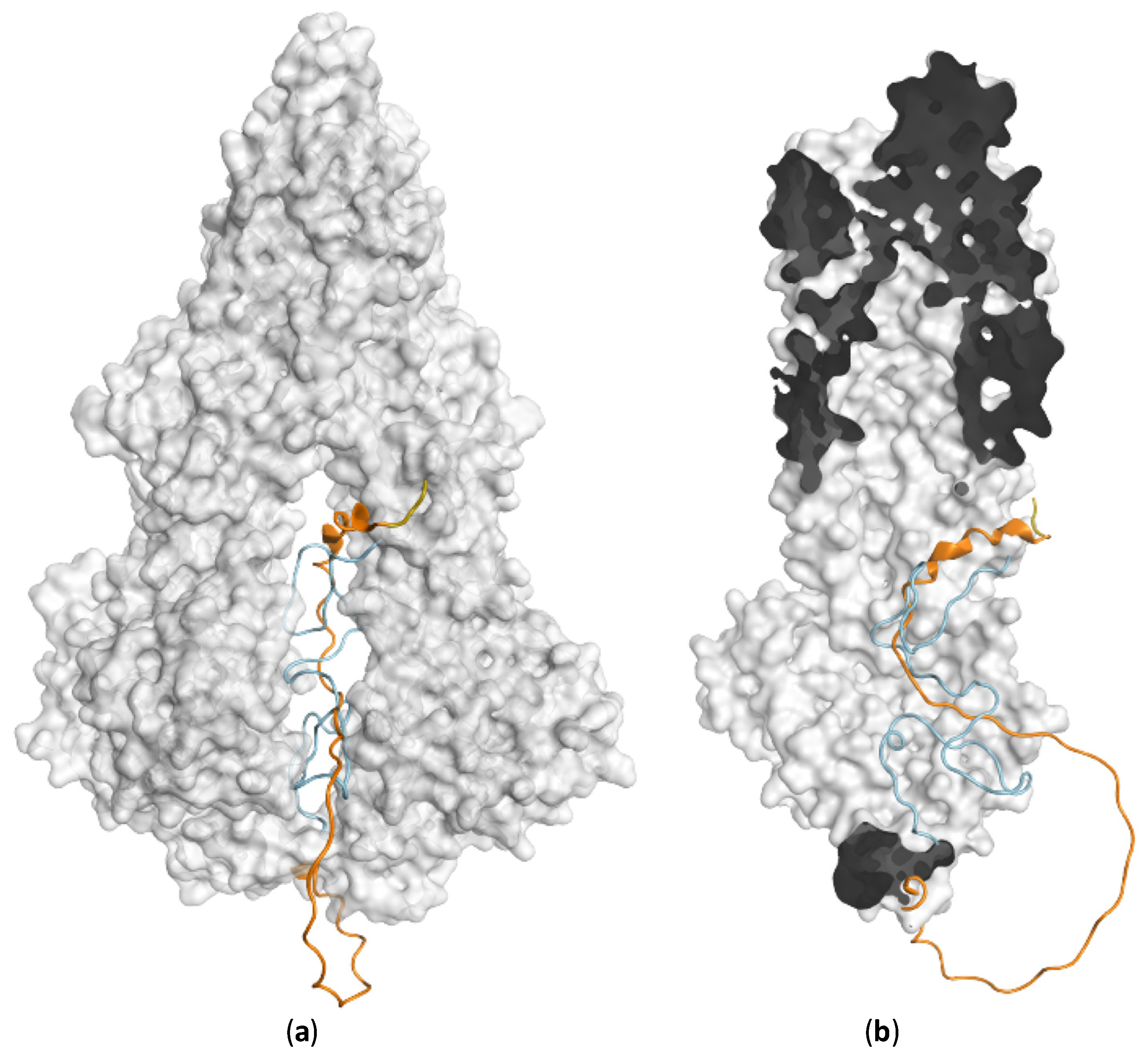 Molecules 28 00495 g007
