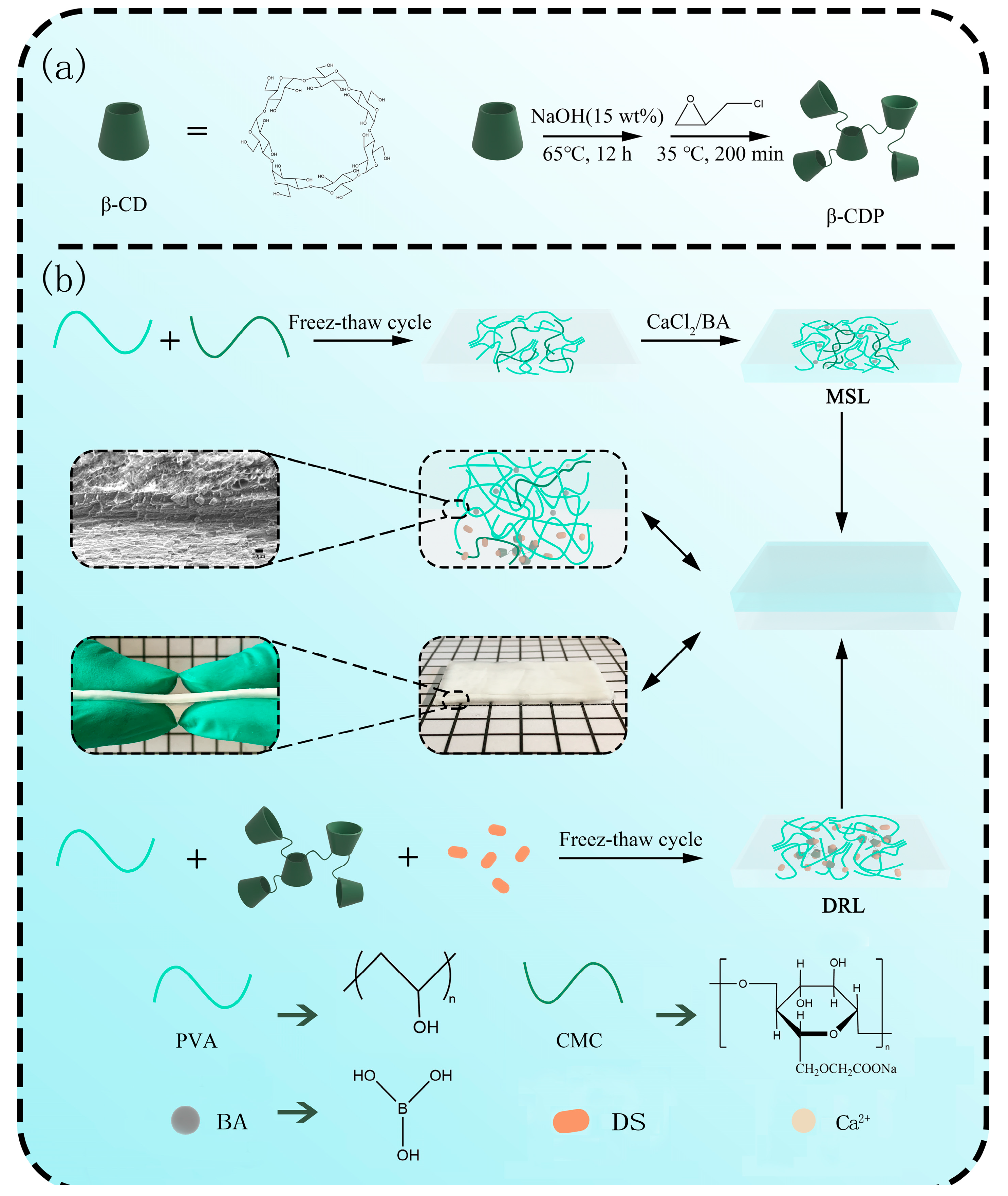 Molecules 28 00499 sch001